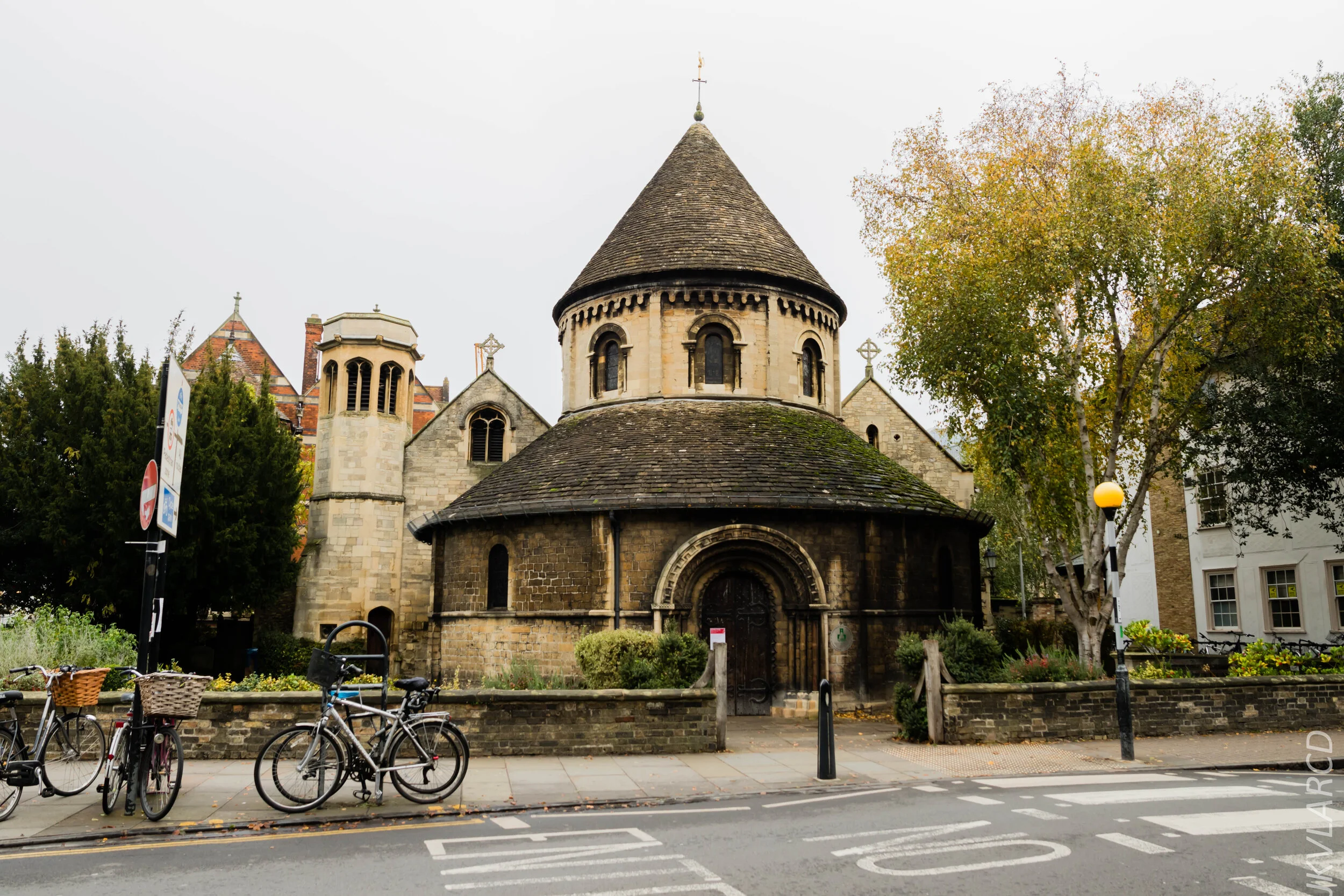 EOS 7D Mark II_2019_11_05_7528.jpg