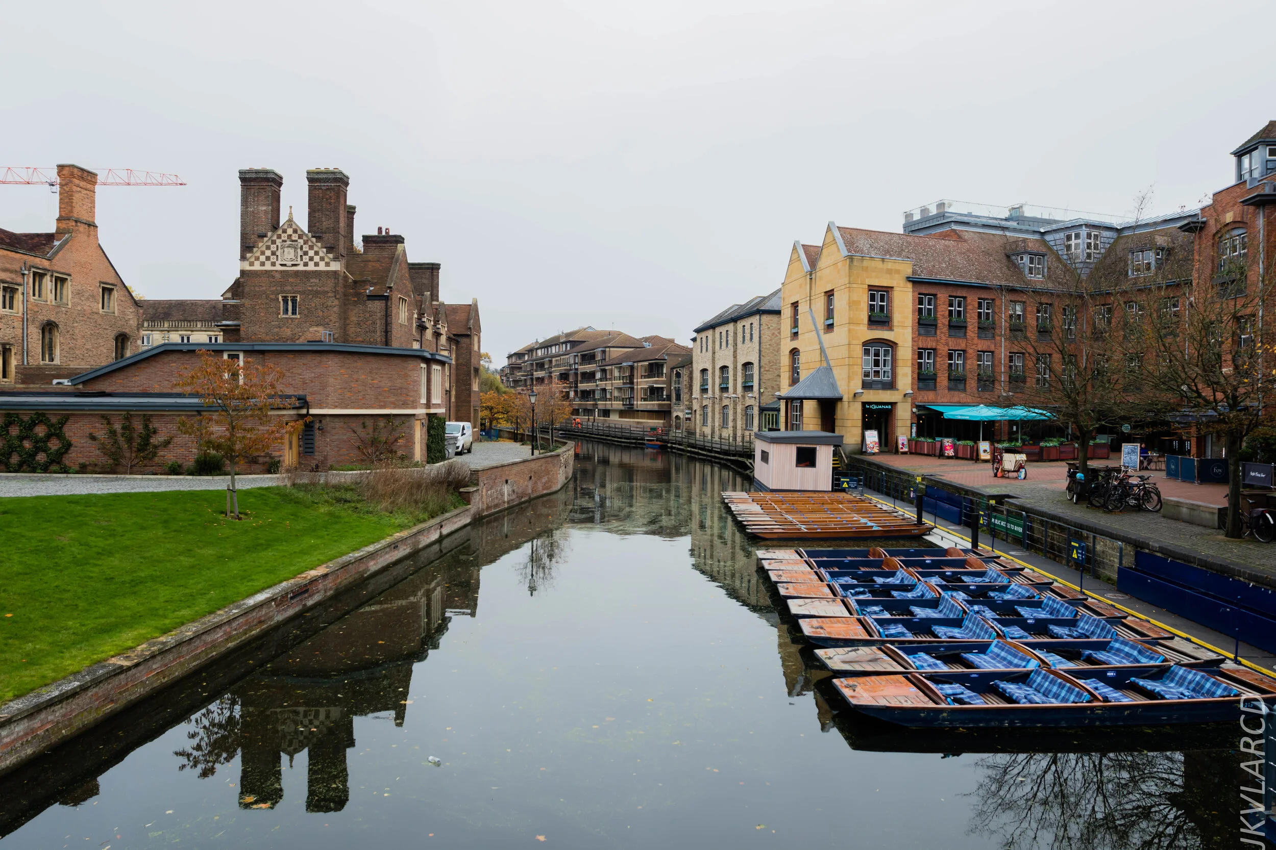 EOS 7D Mark II_2019_11_05_7529.jpg