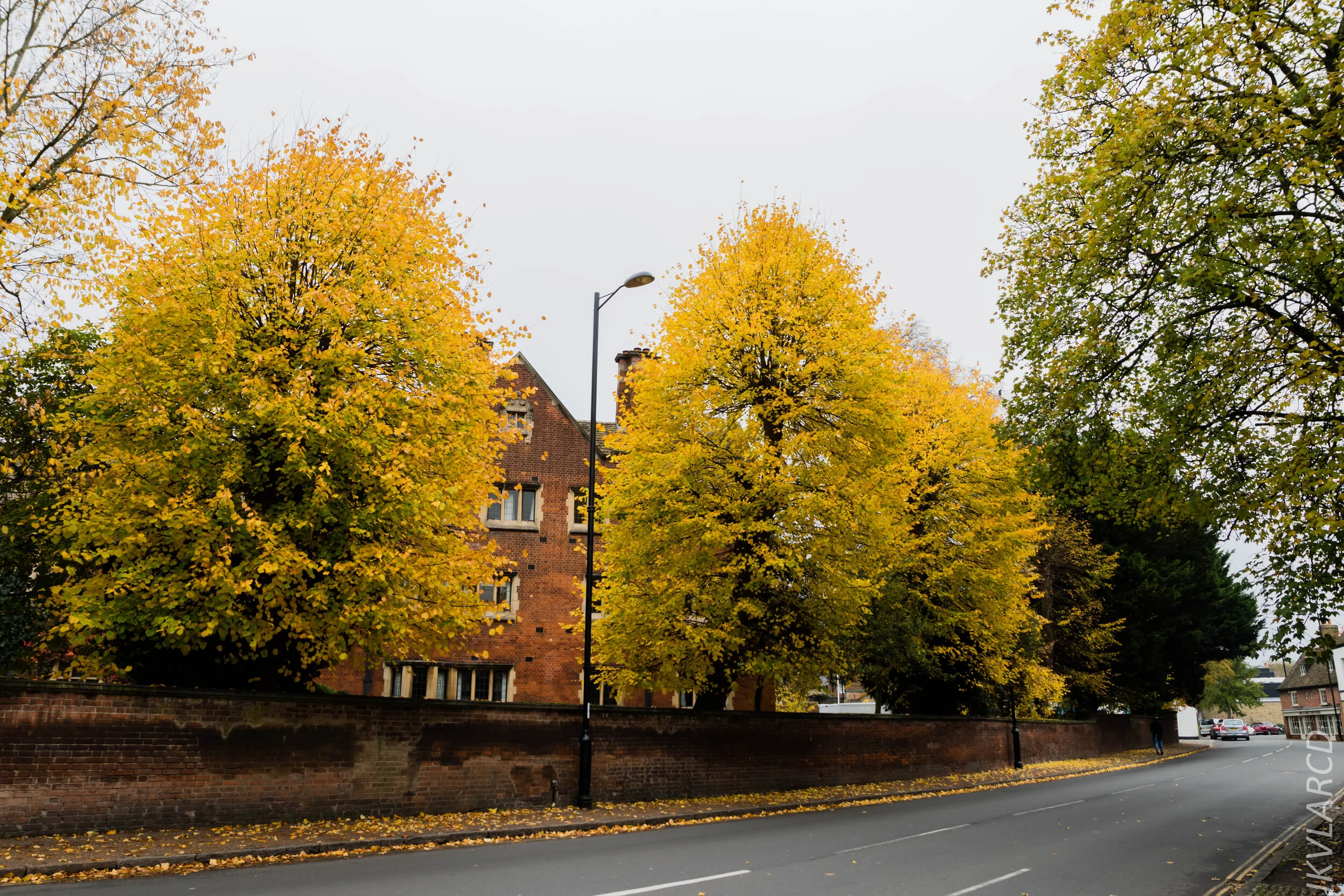 EOS 7D Mark II_2019_11_05_7534.jpg