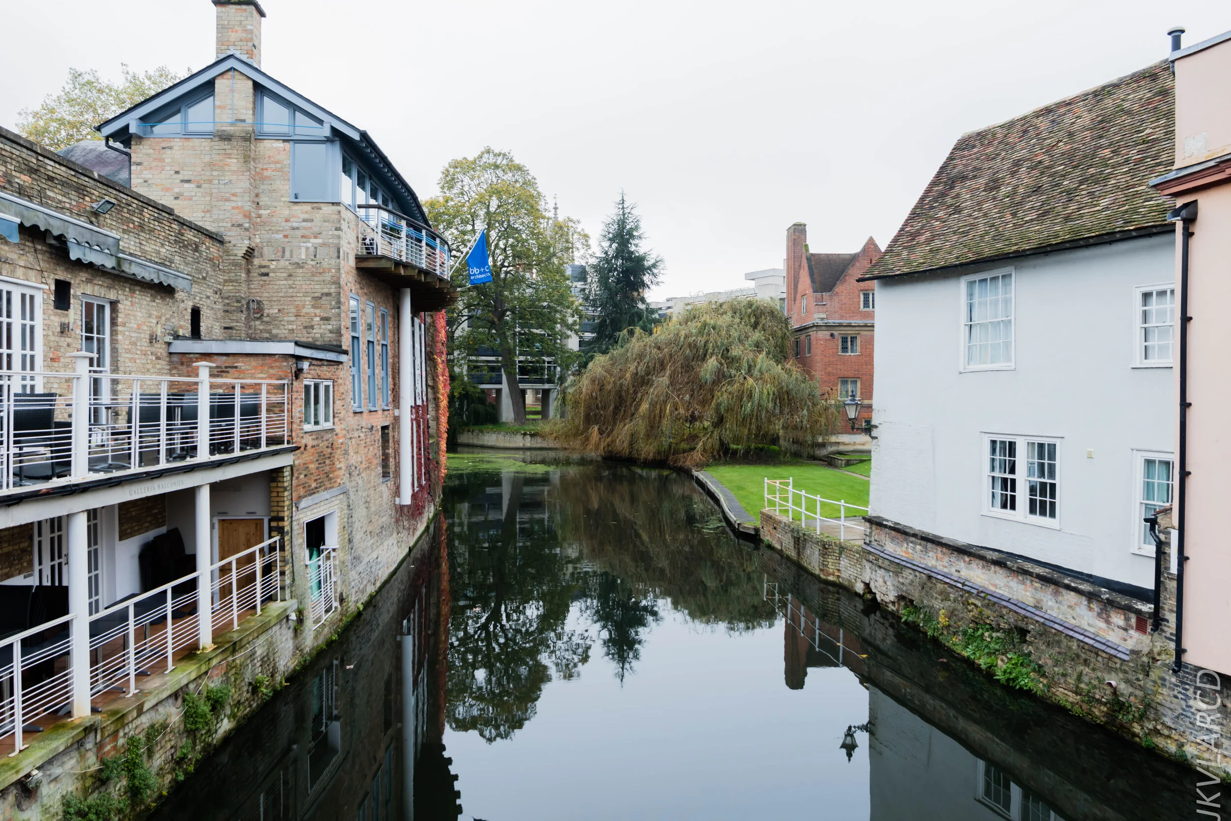 EOS 7D Mark II_2019_11_05_7535.jpg