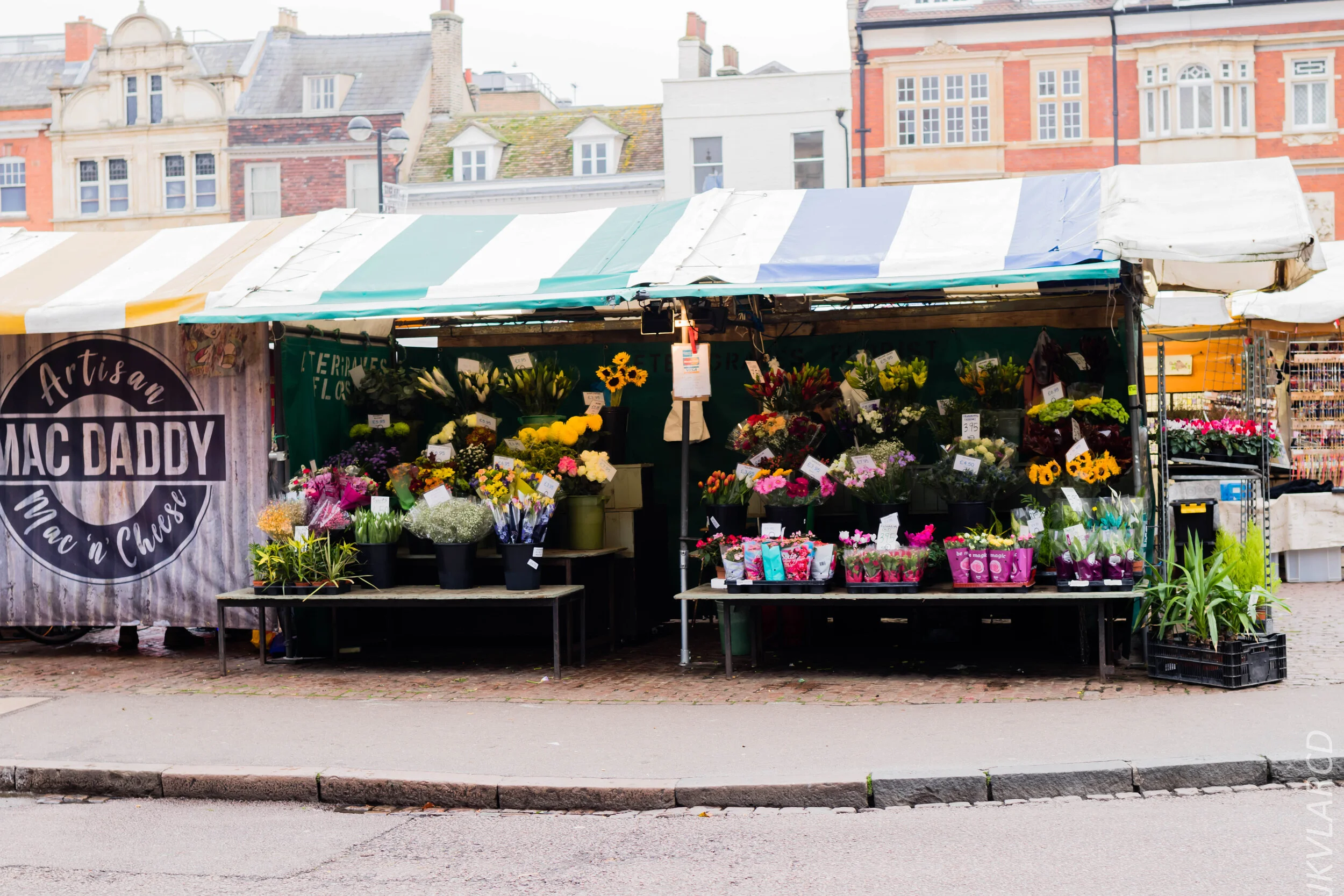 EOS 7D Mark II_2019_11_05_7539.jpg