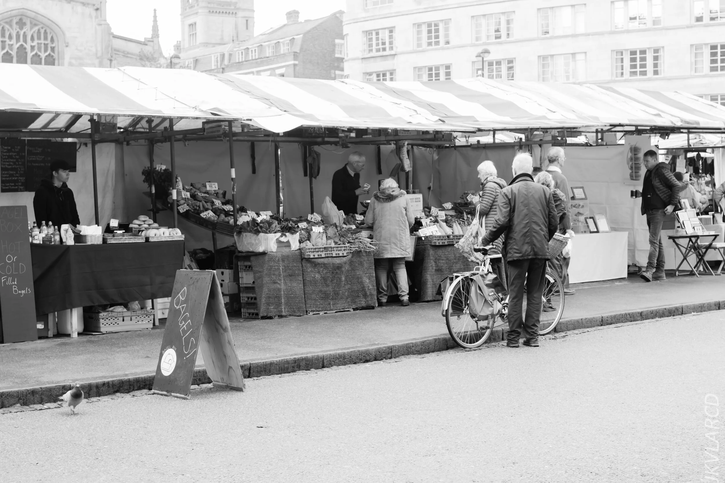 EOS 7D Mark II_2019_11_05_7542.jpg