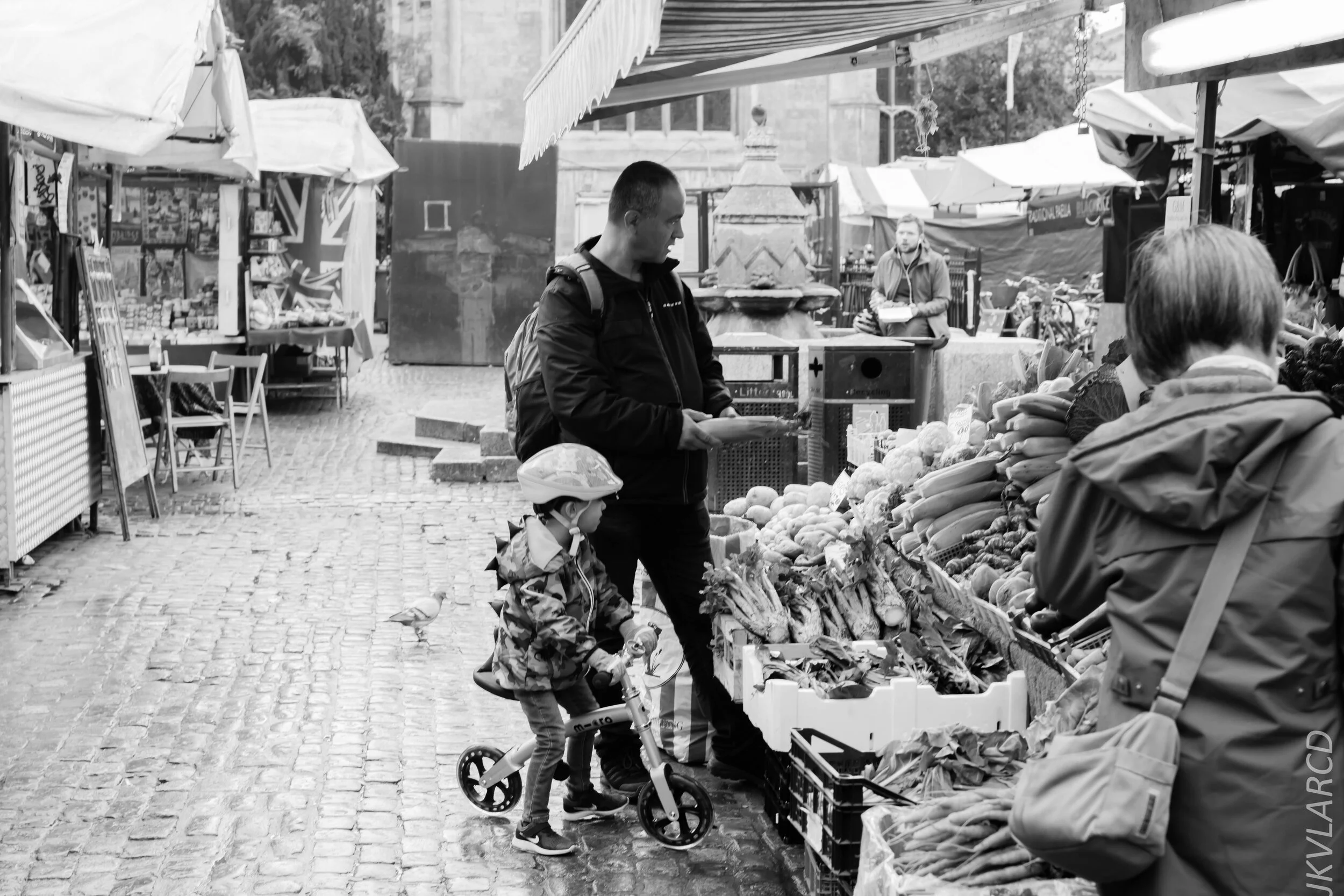 EOS 7D Mark II_2019_11_05_7544.jpg