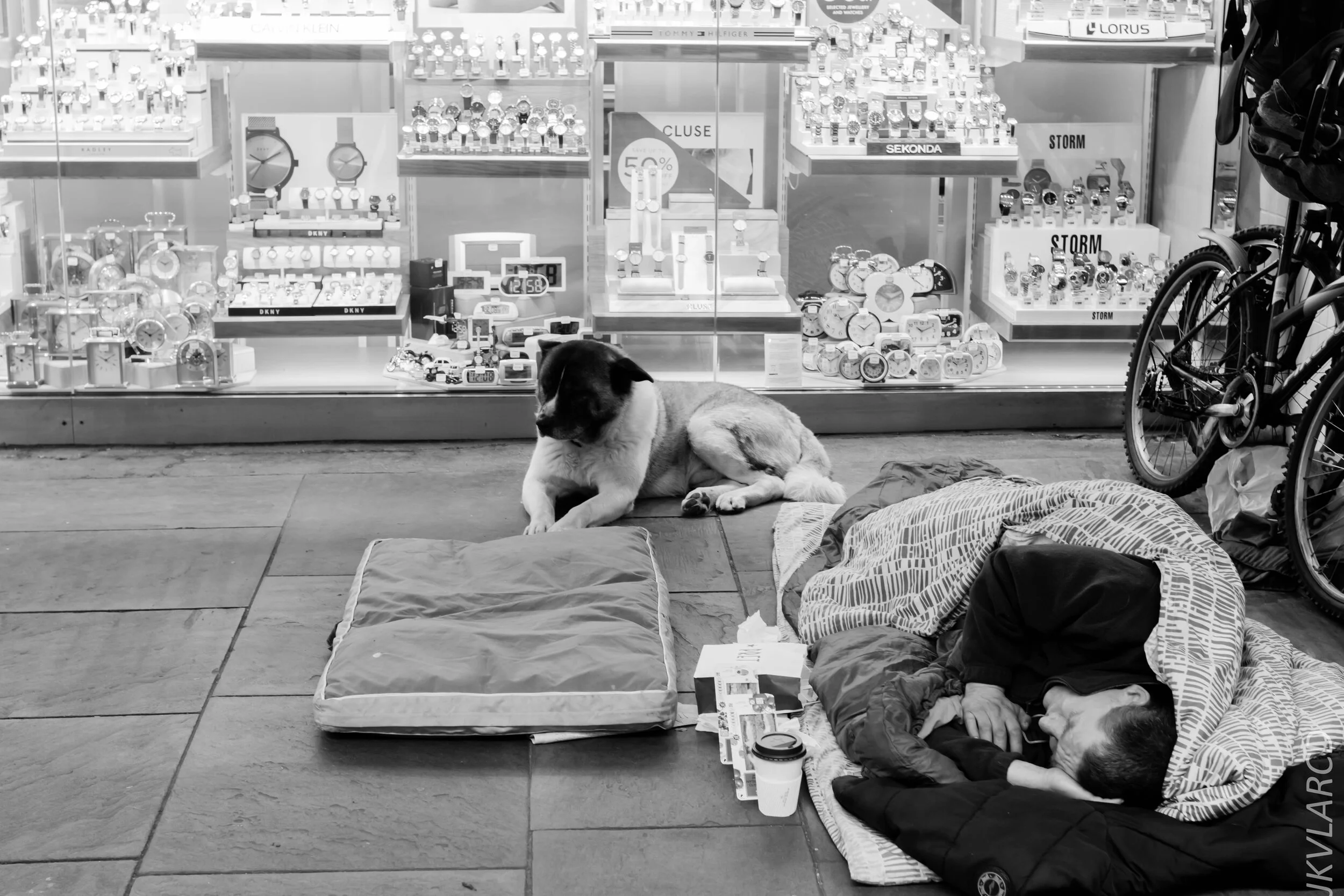 EOS 7D Mark II_2019_11_05_7545.jpg