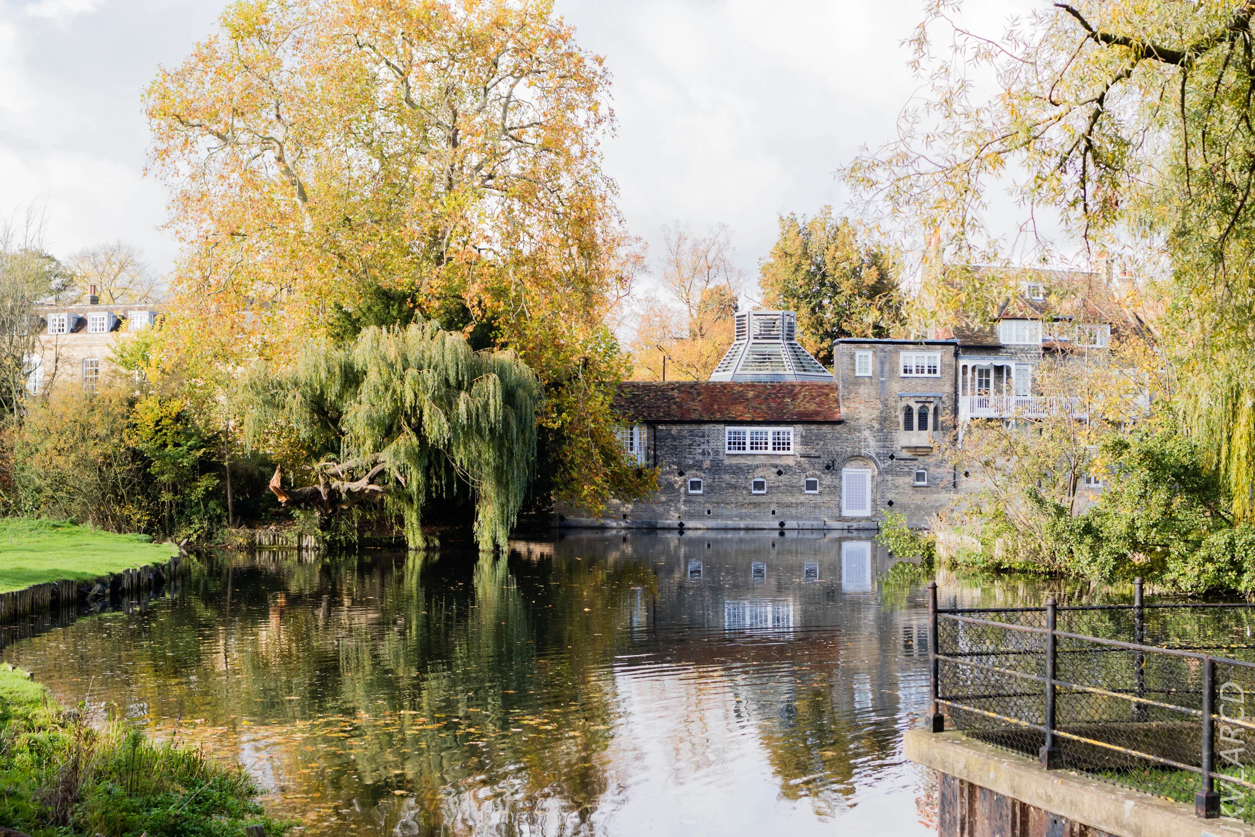 EOS 7D Mark II_2019_11_05_7549.jpg