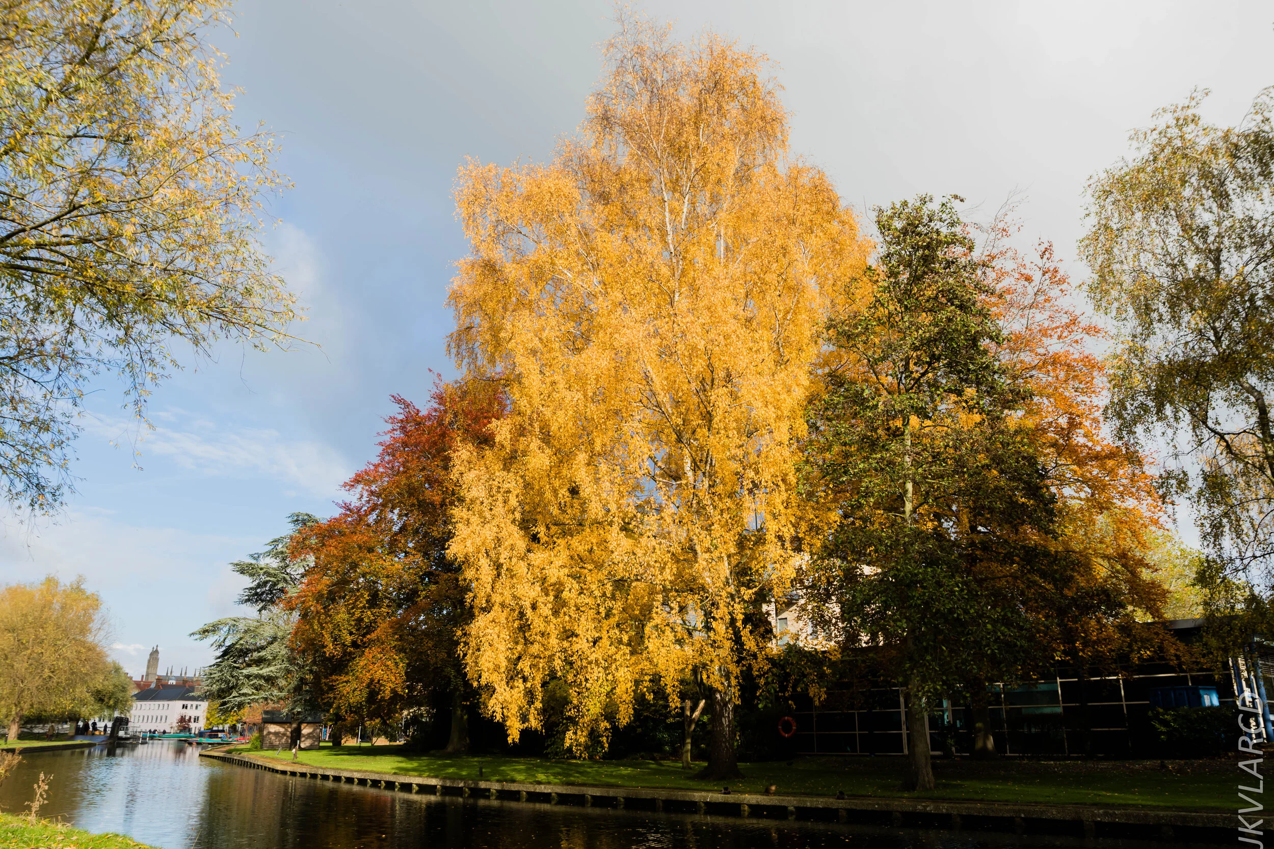 EOS 7D Mark II_2019_11_05_7555.jpg