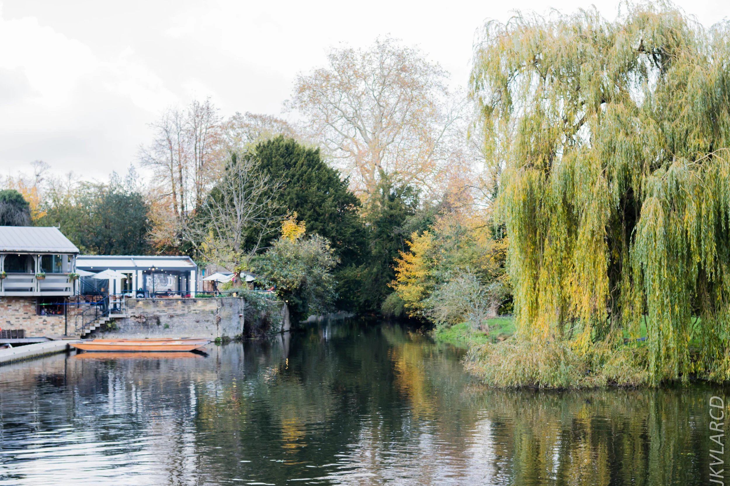 EOS 7D Mark II_2019_11_05_7565.jpg