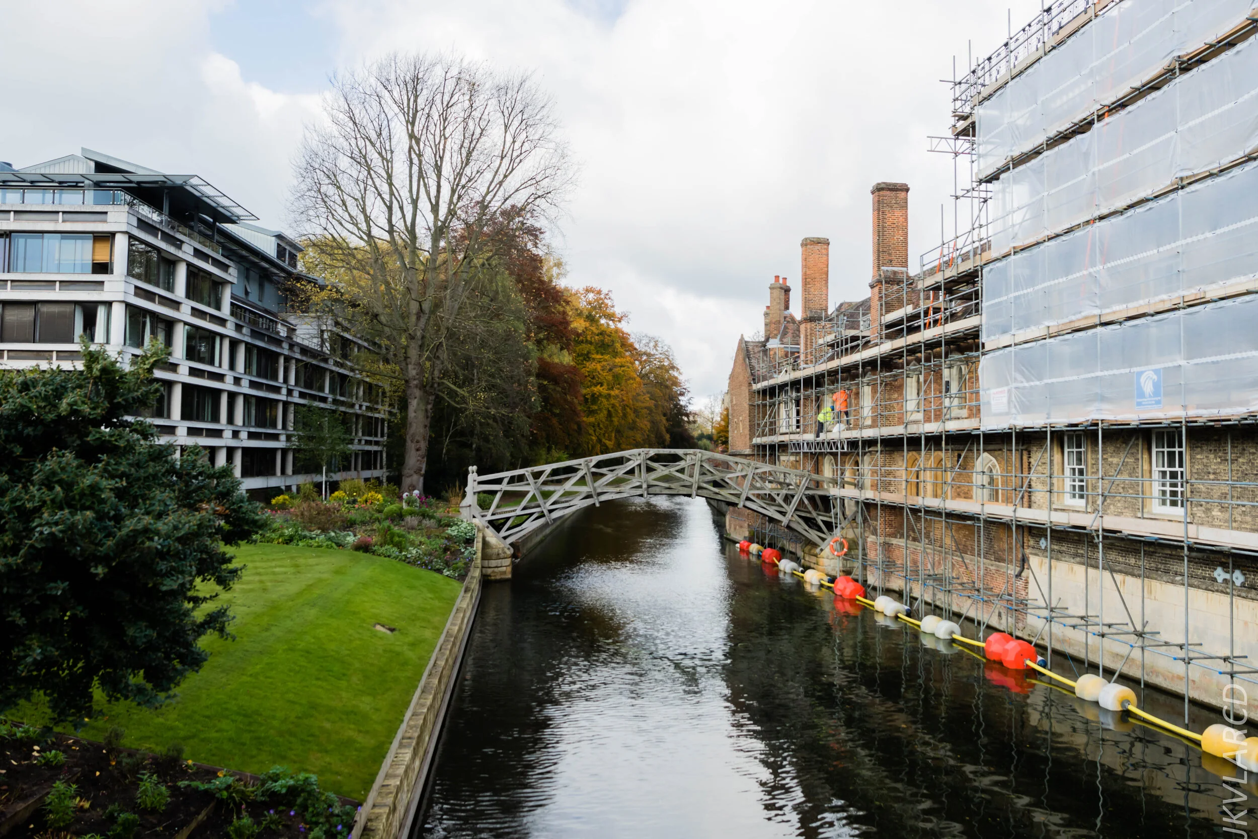 EOS 7D Mark II_2019_11_05_7571.jpg