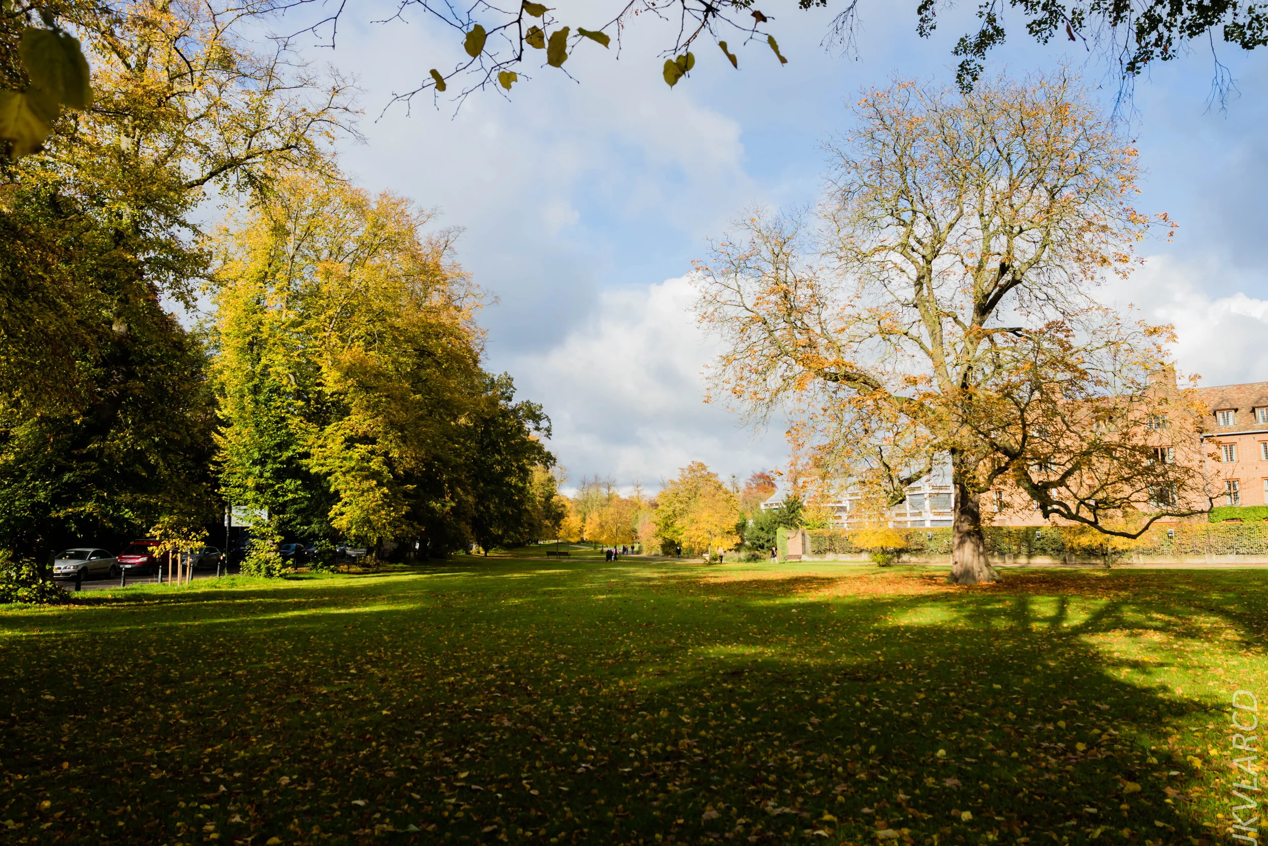 EOS 7D Mark II_2019_11_05_7567.jpg