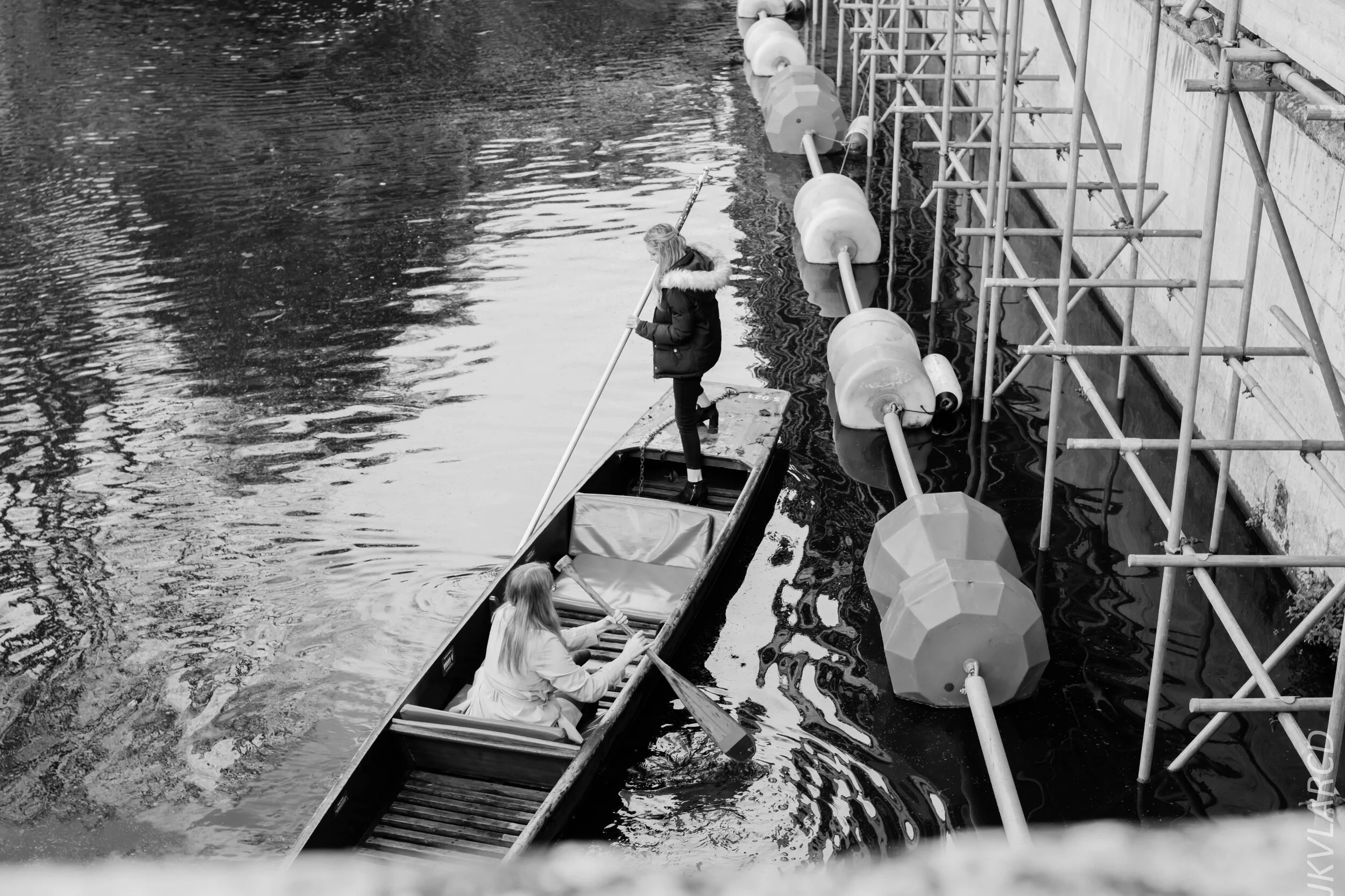 EOS 7D Mark II_2019_11_05_7574.jpg