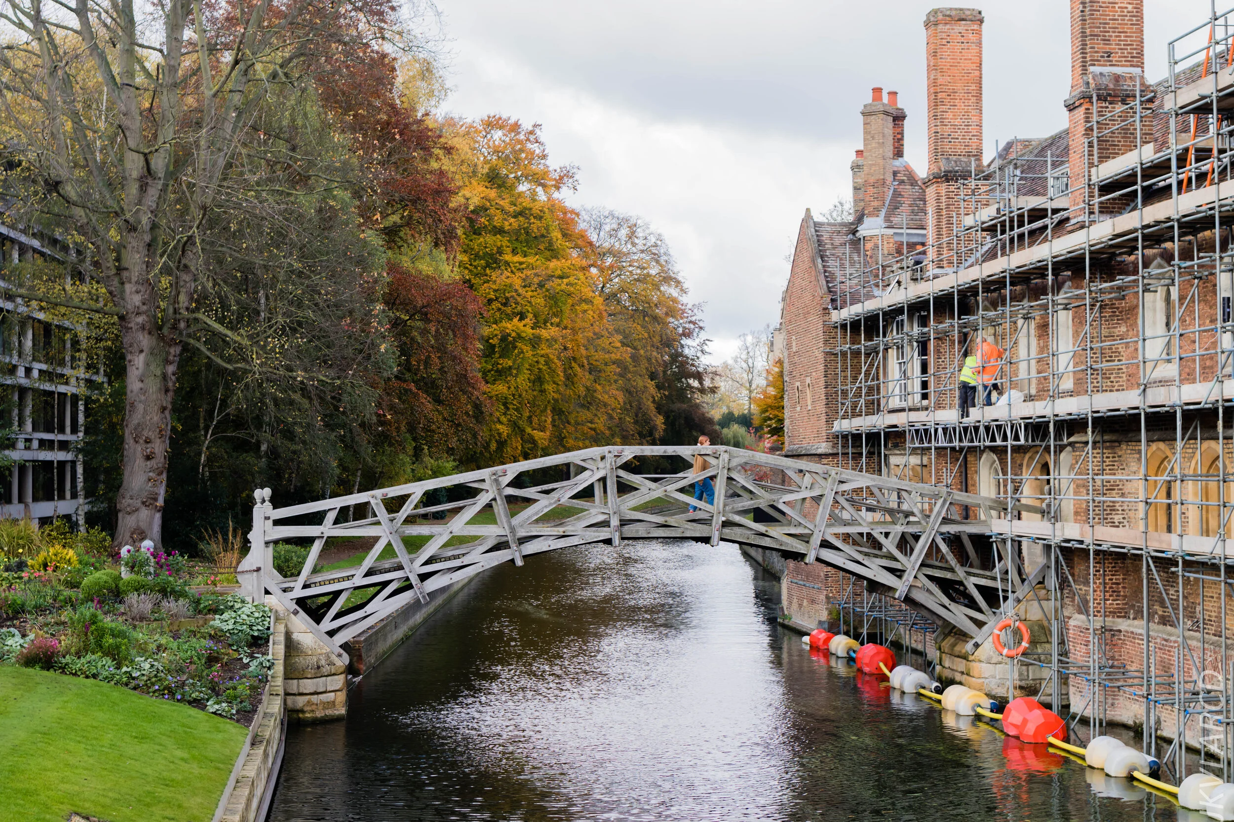 EOS 7D Mark II_2019_11_05_7572.jpg