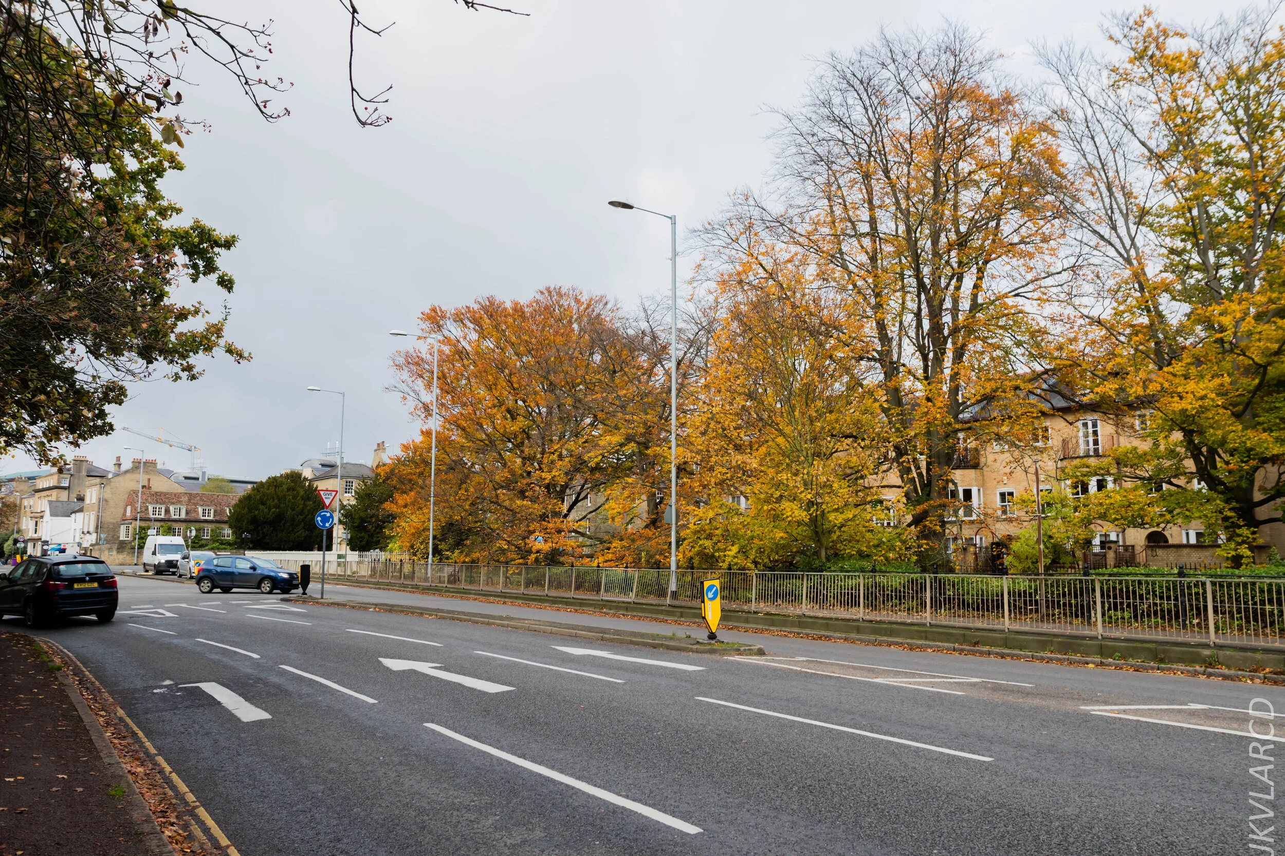 EOS 7D Mark II_2019_11_05_7578.jpg