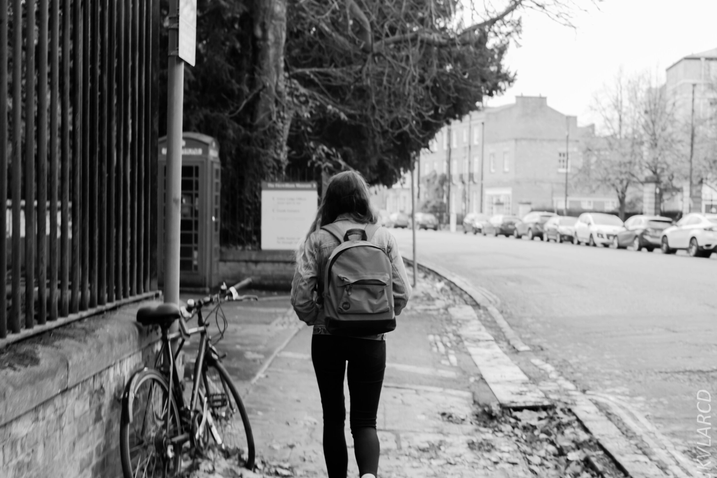 EOS 7D Mark II_2019_11_05_7580.jpg