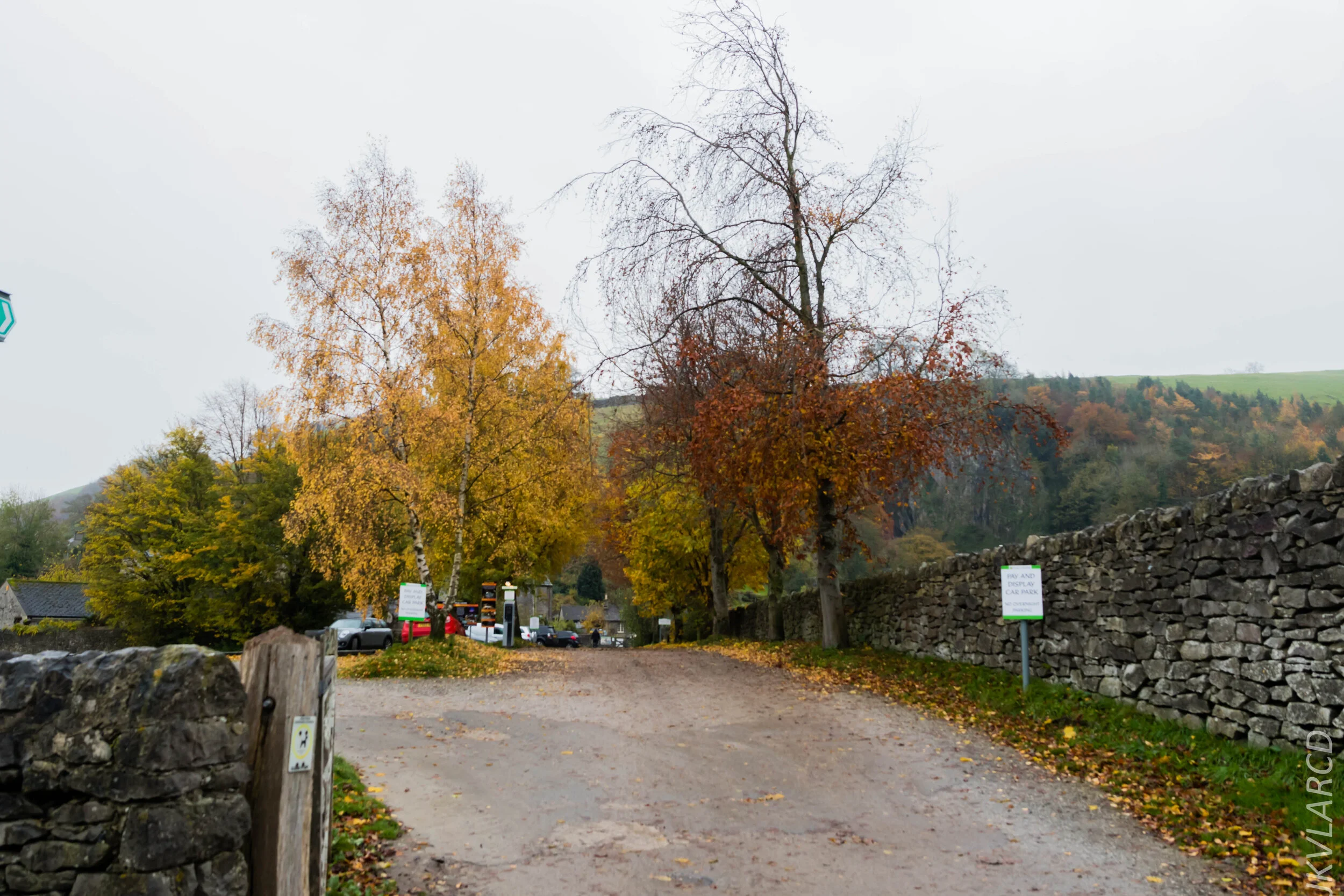 EOS 7D Mark II_2019_11_06_7583.jpg