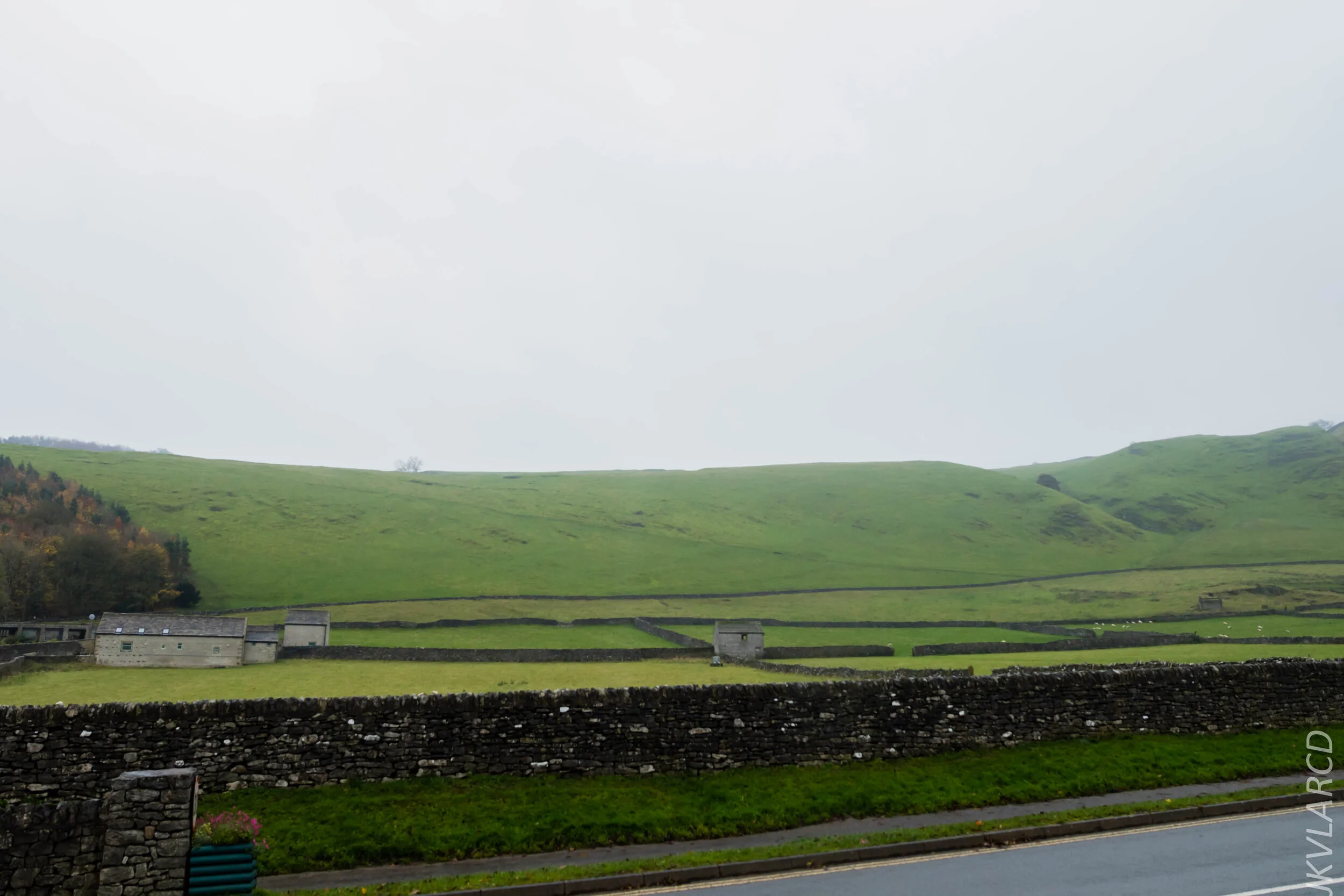 EOS 7D Mark II_2019_11_06_7585.jpg