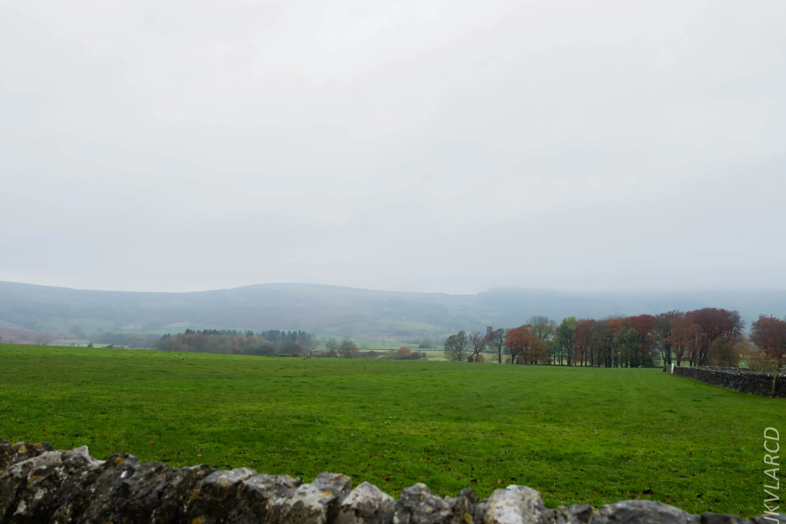 EOS 7D Mark II_2019_11_06_7586.jpg