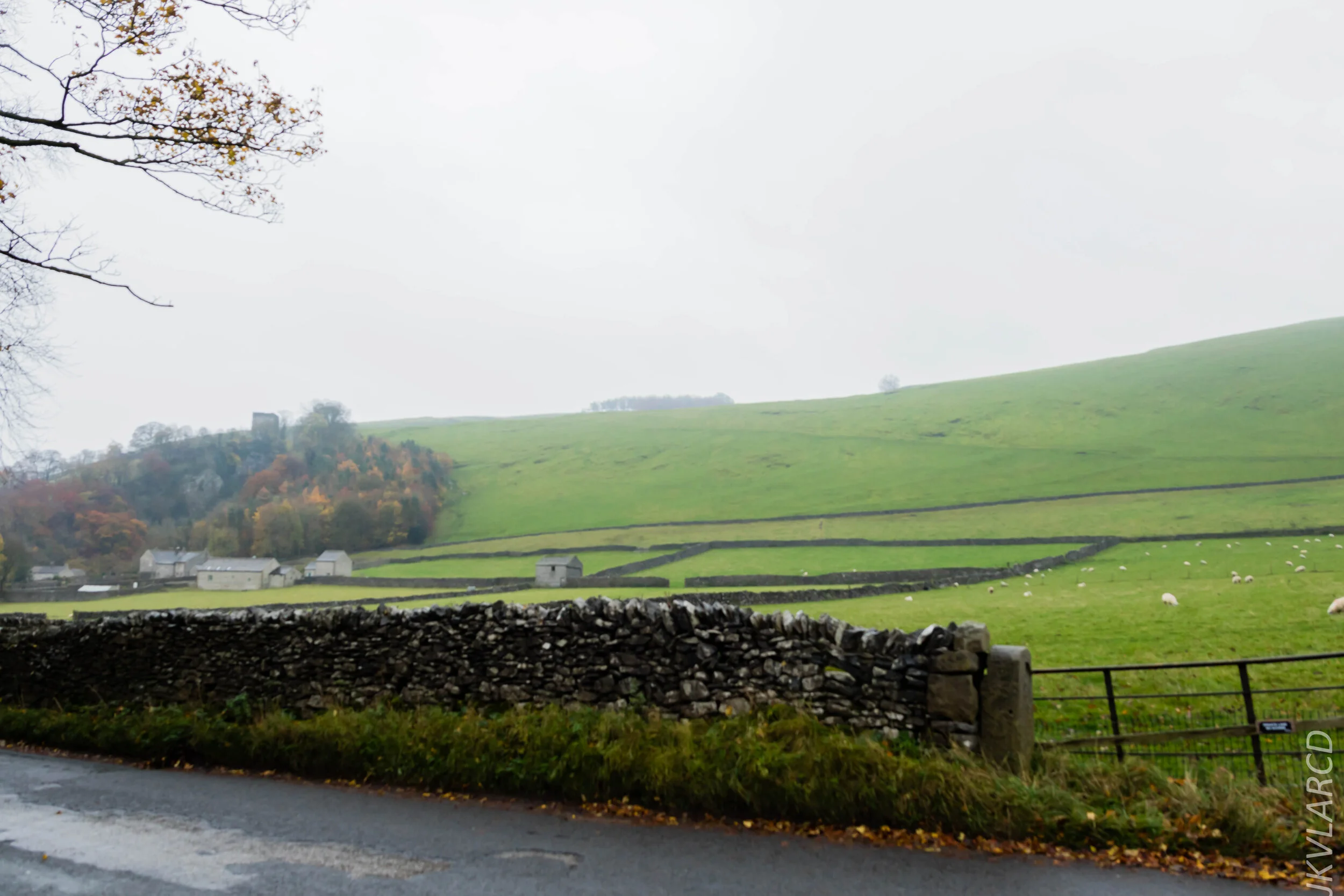 EOS 7D Mark II_2019_11_06_7587.jpg