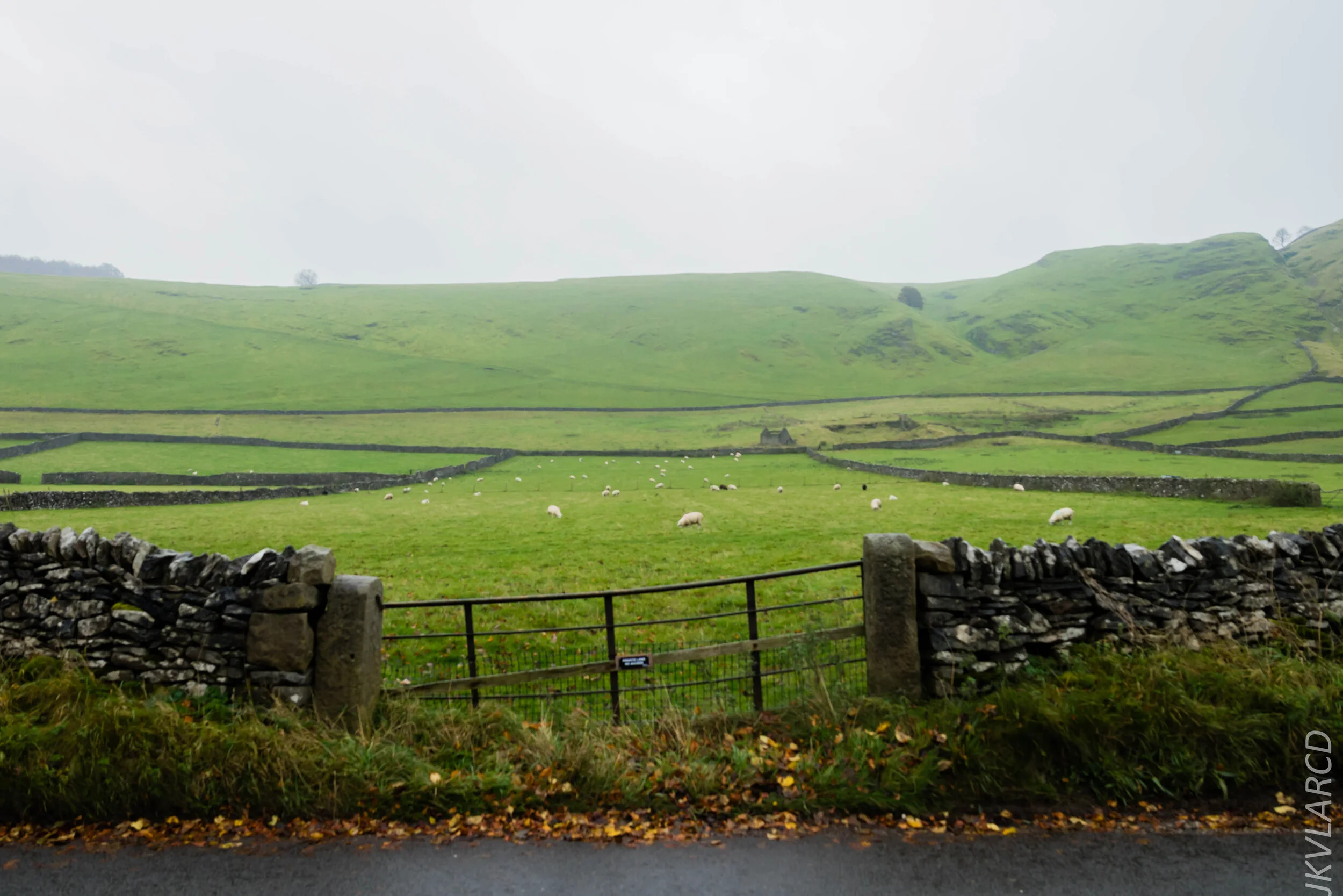 EOS 7D Mark II_2019_11_06_7588.jpg