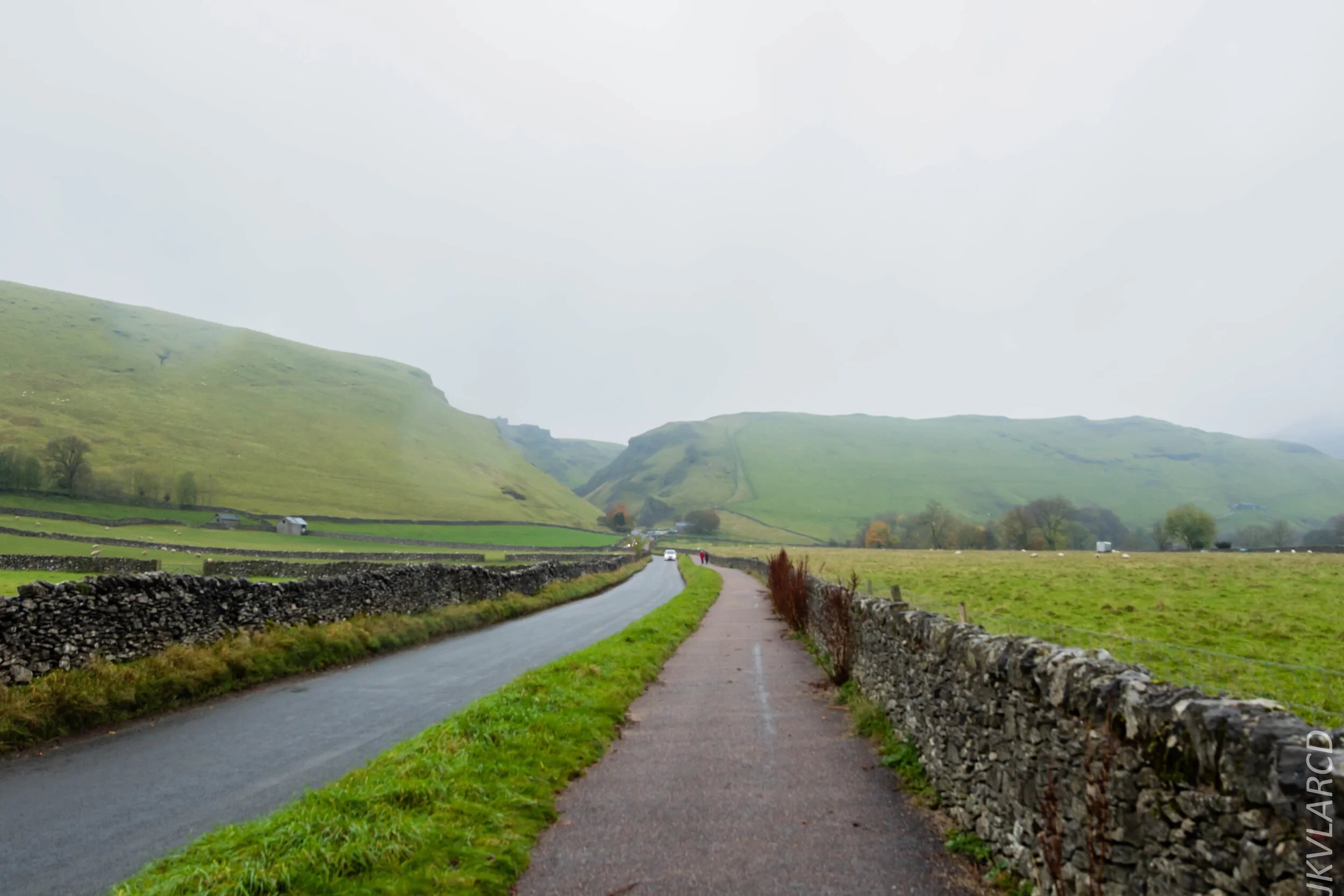 EOS 7D Mark II_2019_11_06_7589.jpg