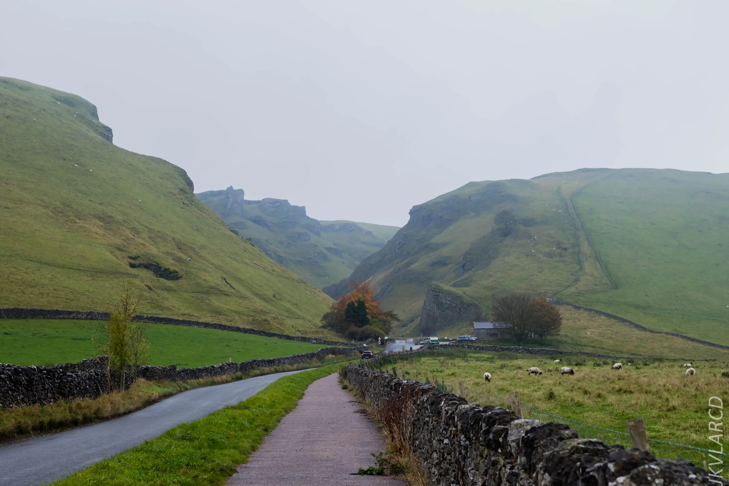 EOS 7D Mark II_2019_11_06_7591.jpg