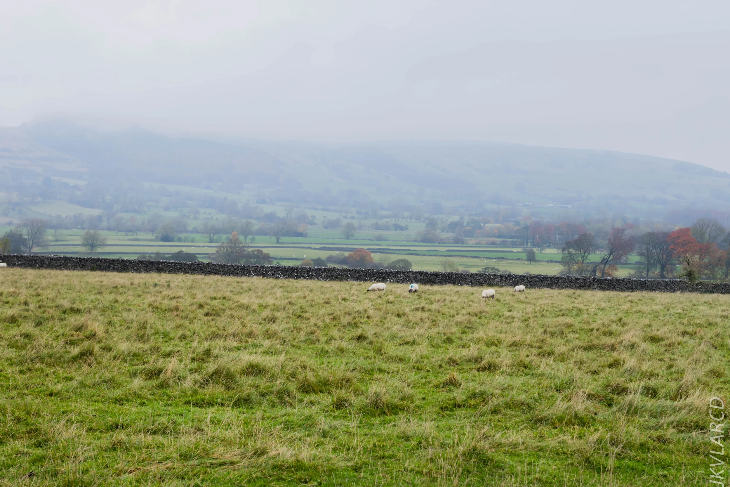 EOS 7D Mark II_2019_11_06_7590.jpg