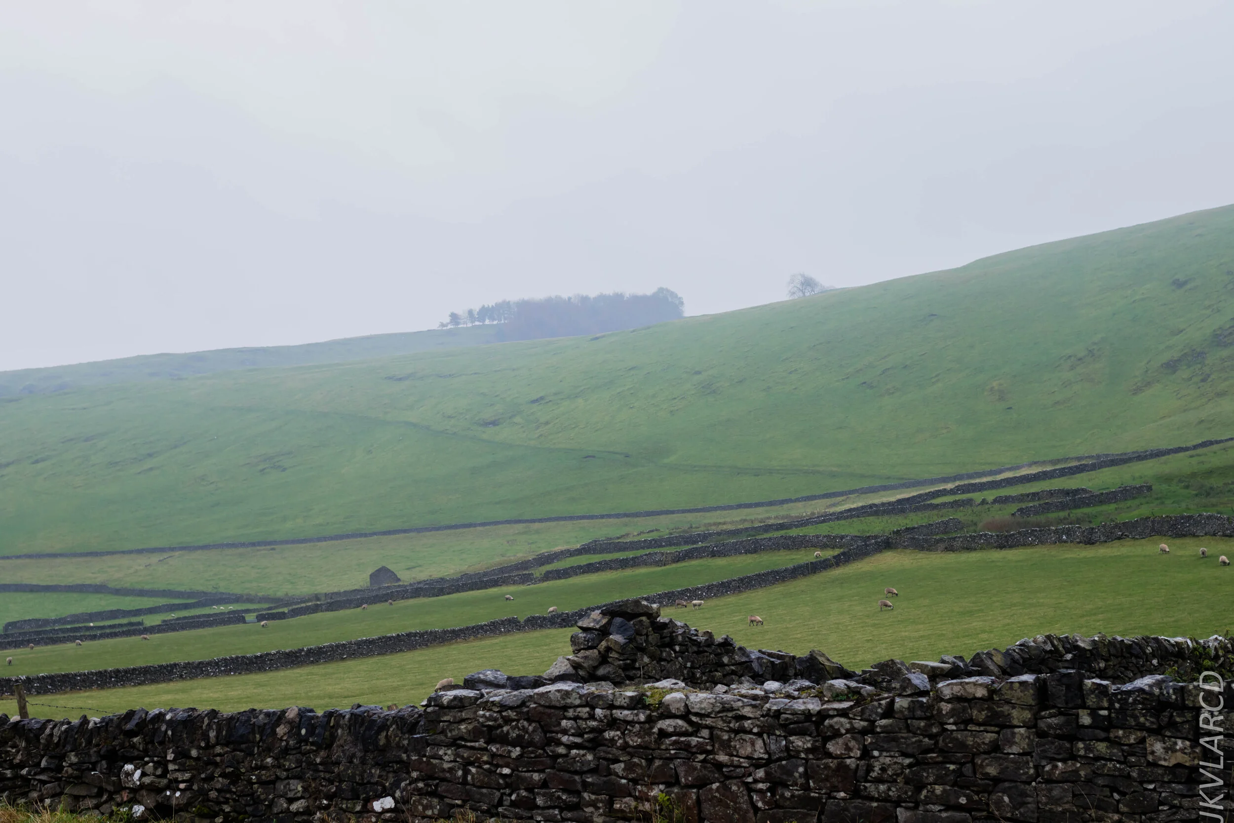 EOS 7D Mark II_2019_11_06_7596.jpg