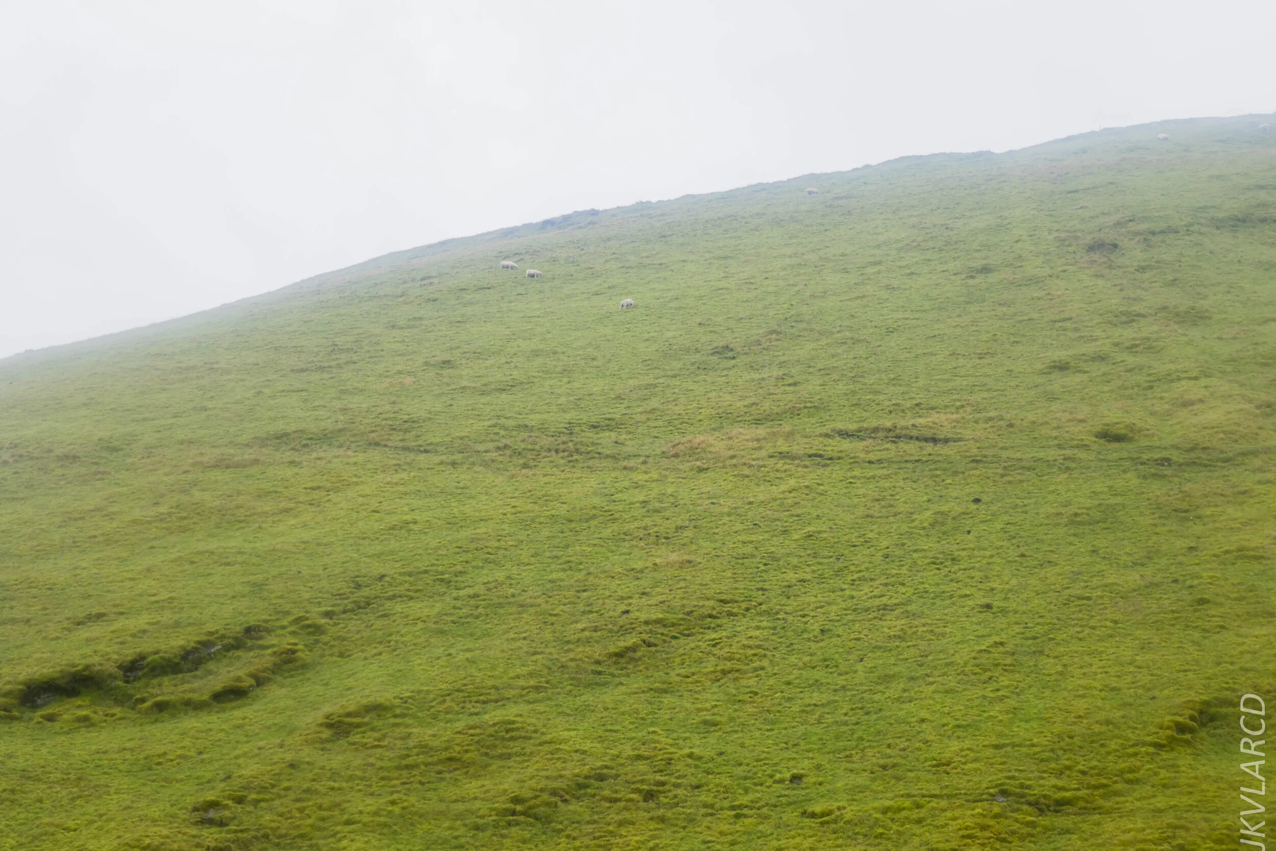 EOS 7D Mark II_2019_11_06_7601.jpg