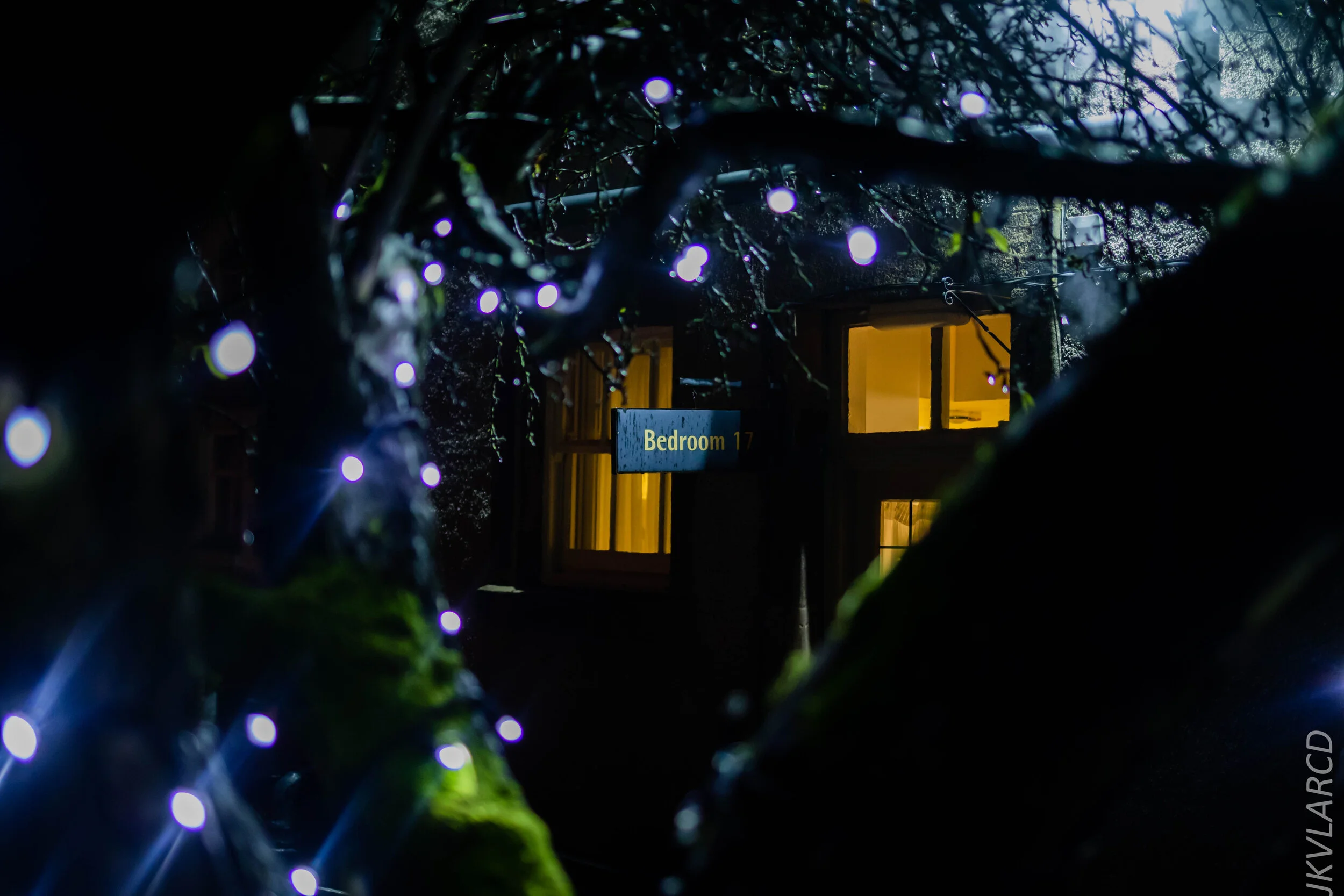 EOS 7D Mark II_2019_11_06_7623.jpg