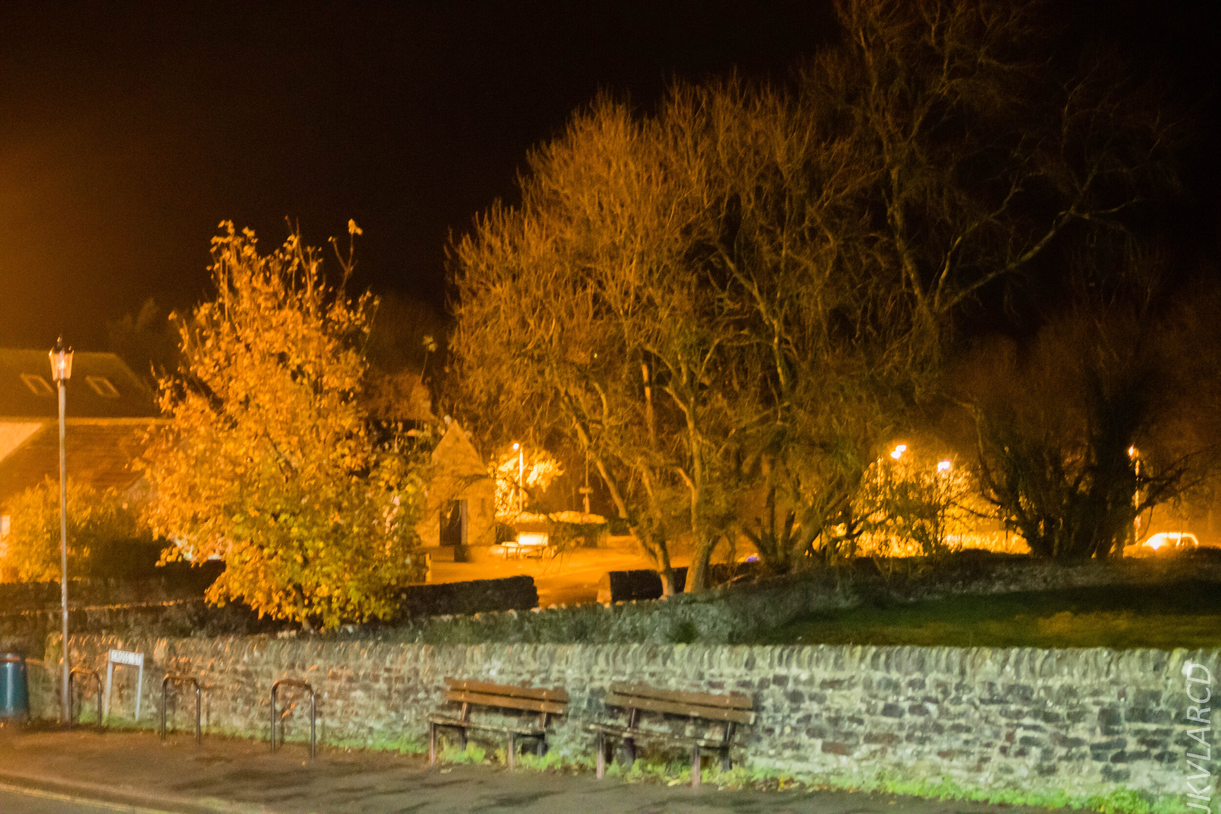 EOS 7D Mark II_2019_11_06_7624.jpg