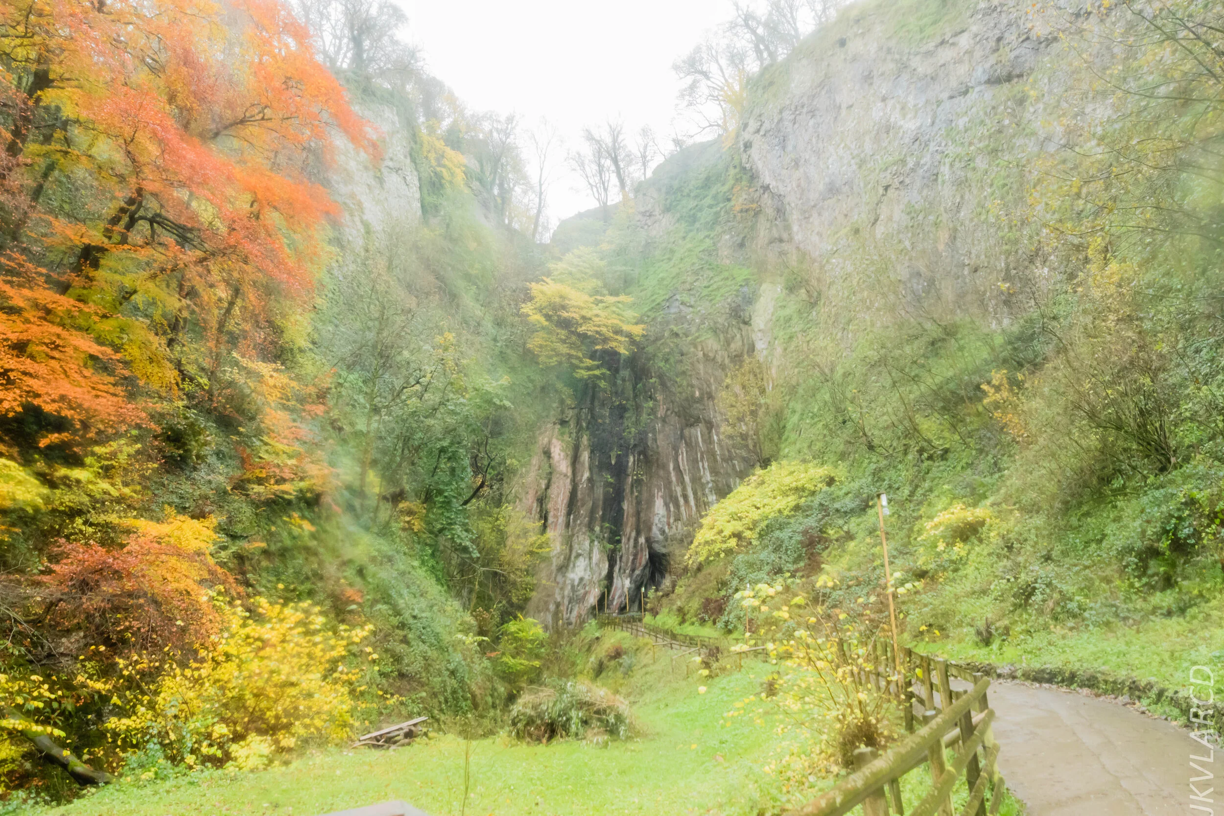 EOS 7D Mark II_2019_11_07_7633.jpg