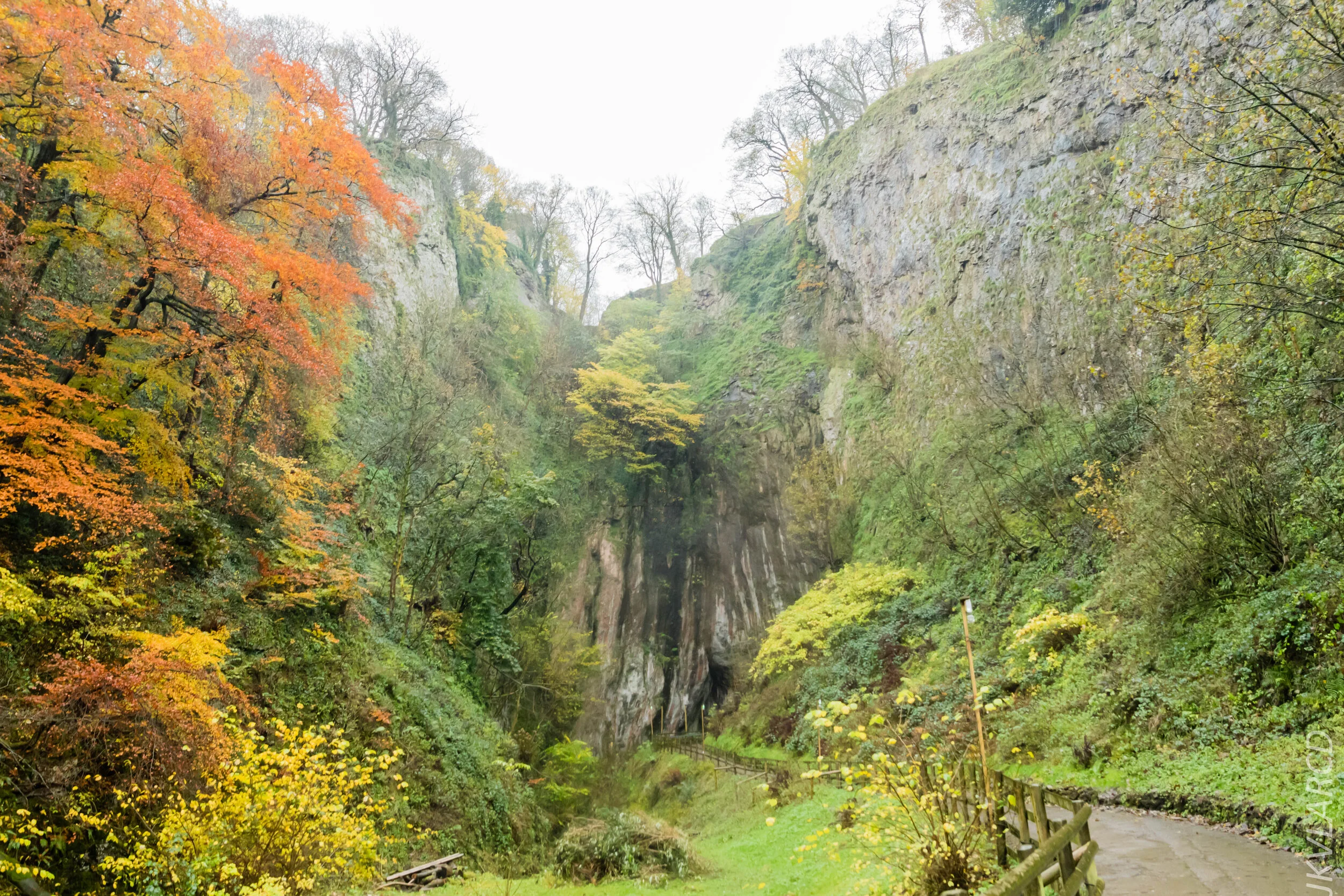 EOS 7D Mark II_2019_11_07_7634.jpg