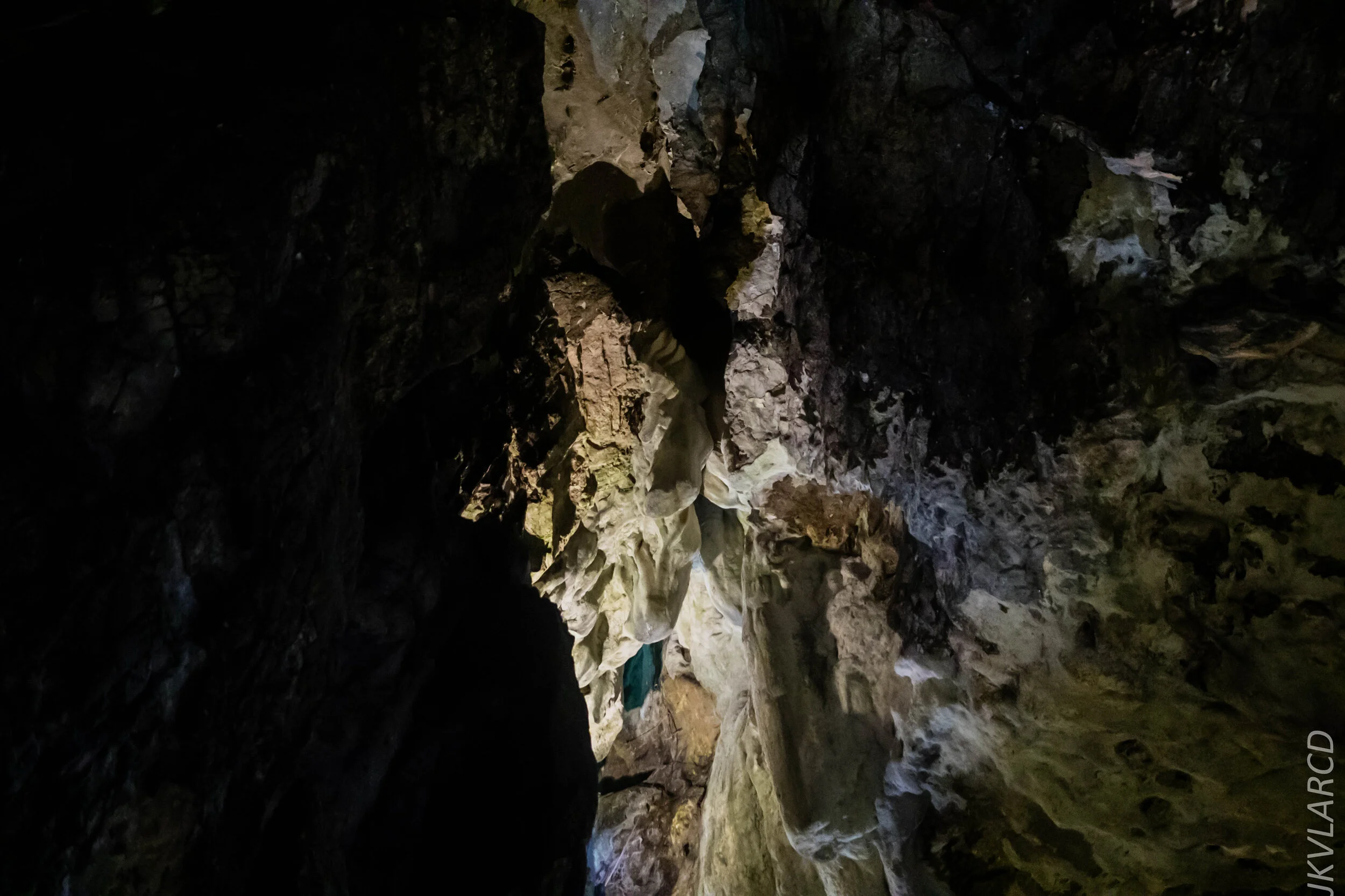 EOS 7D Mark II_2019_11_07_7638.jpg