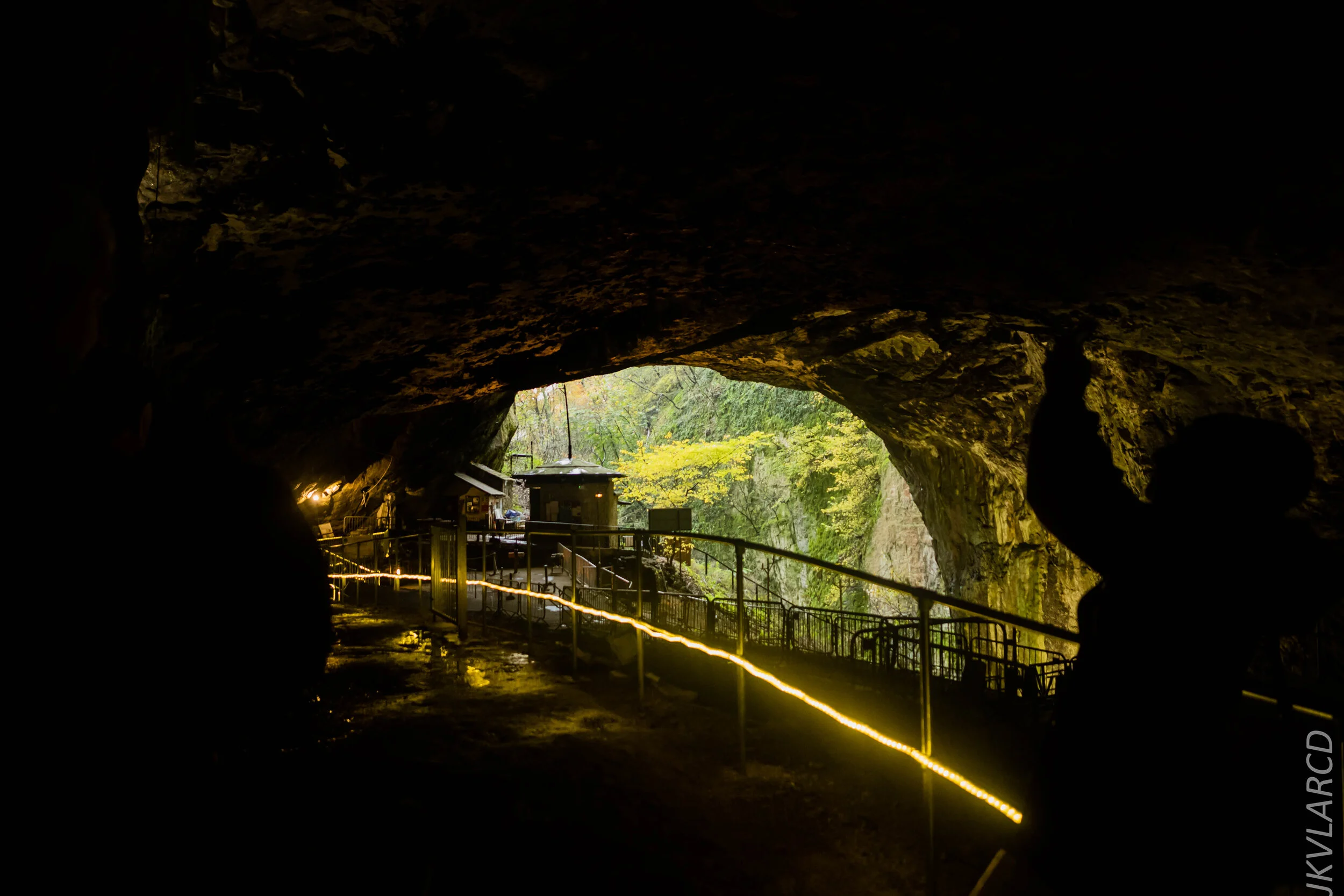 EOS 7D Mark II_2019_11_07_7639.jpg