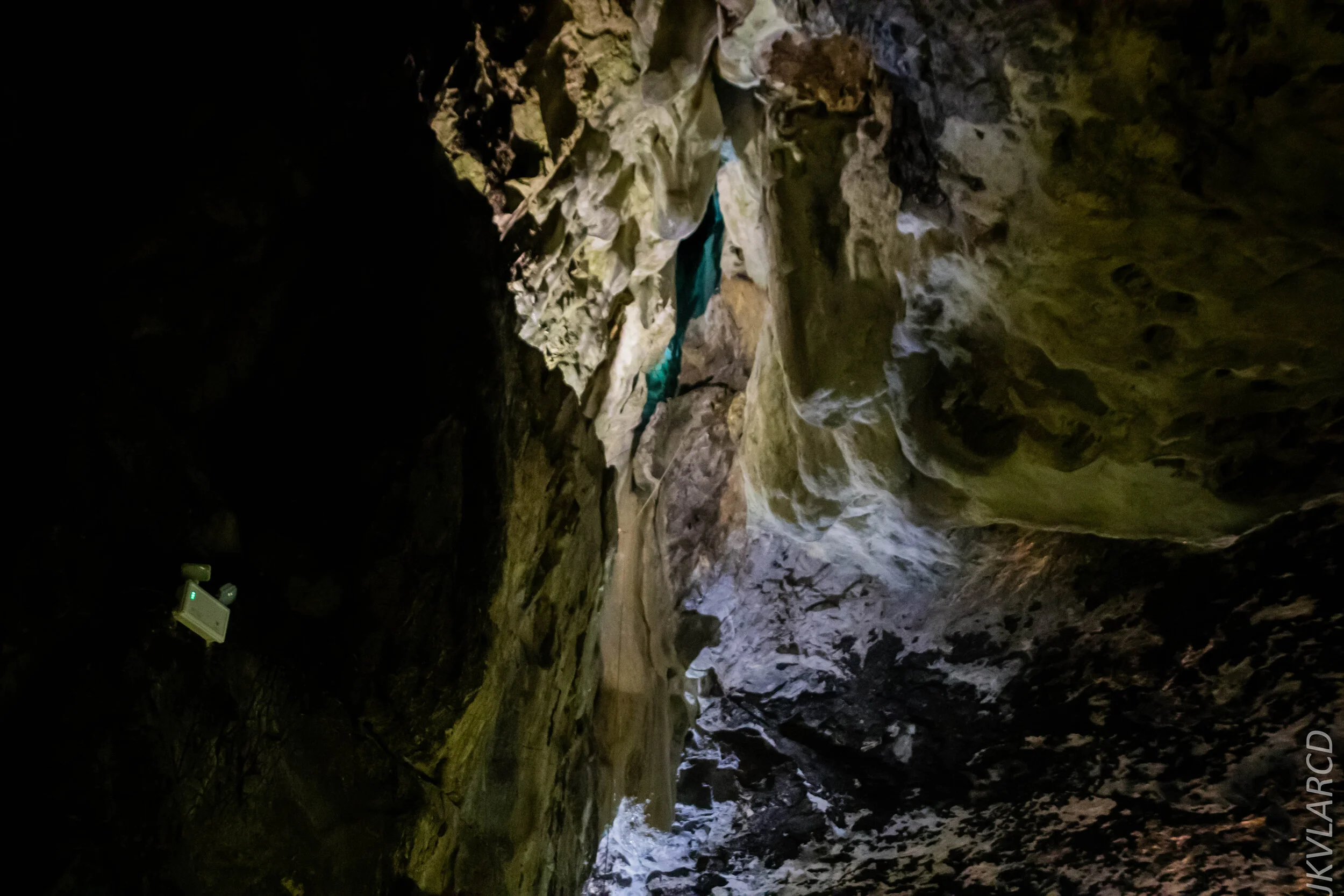 EOS 7D Mark II_2019_11_07_7641.jpg