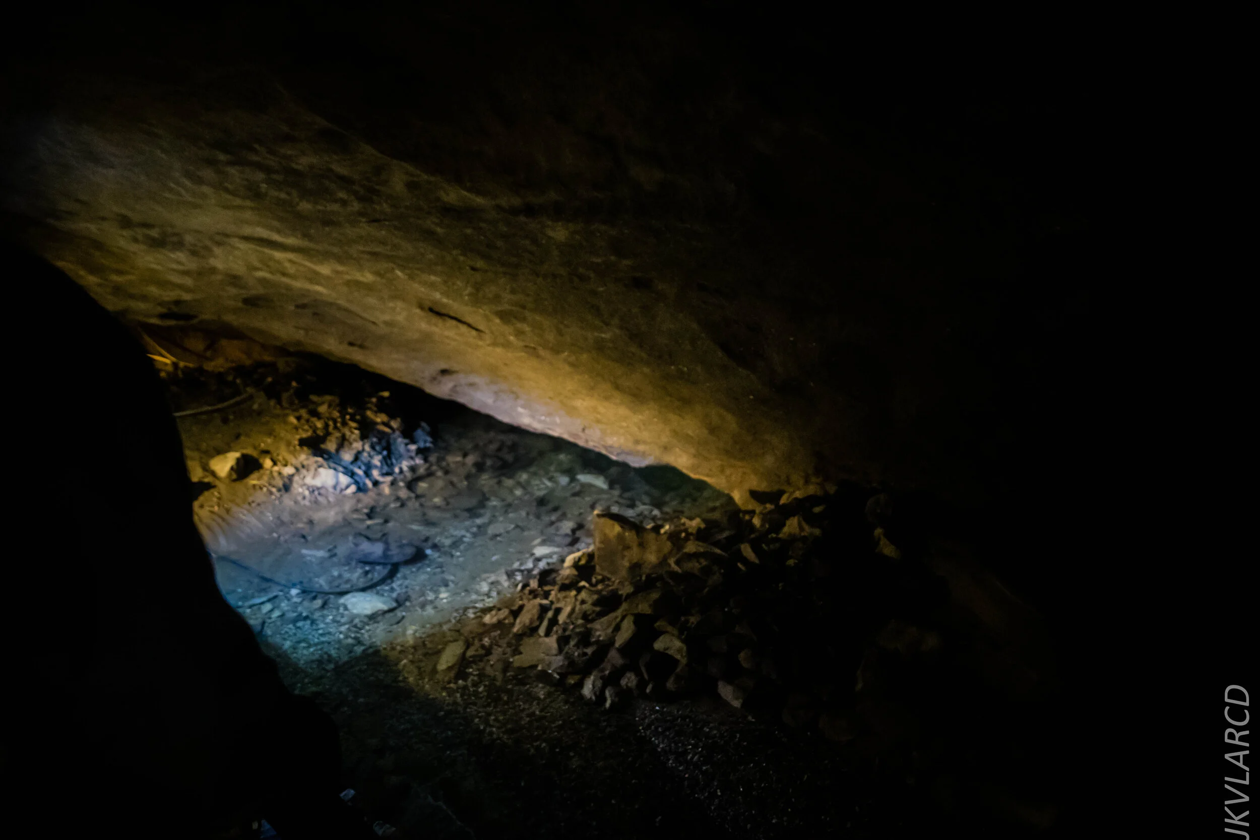 EOS 7D Mark II_2019_11_07_7649.jpg