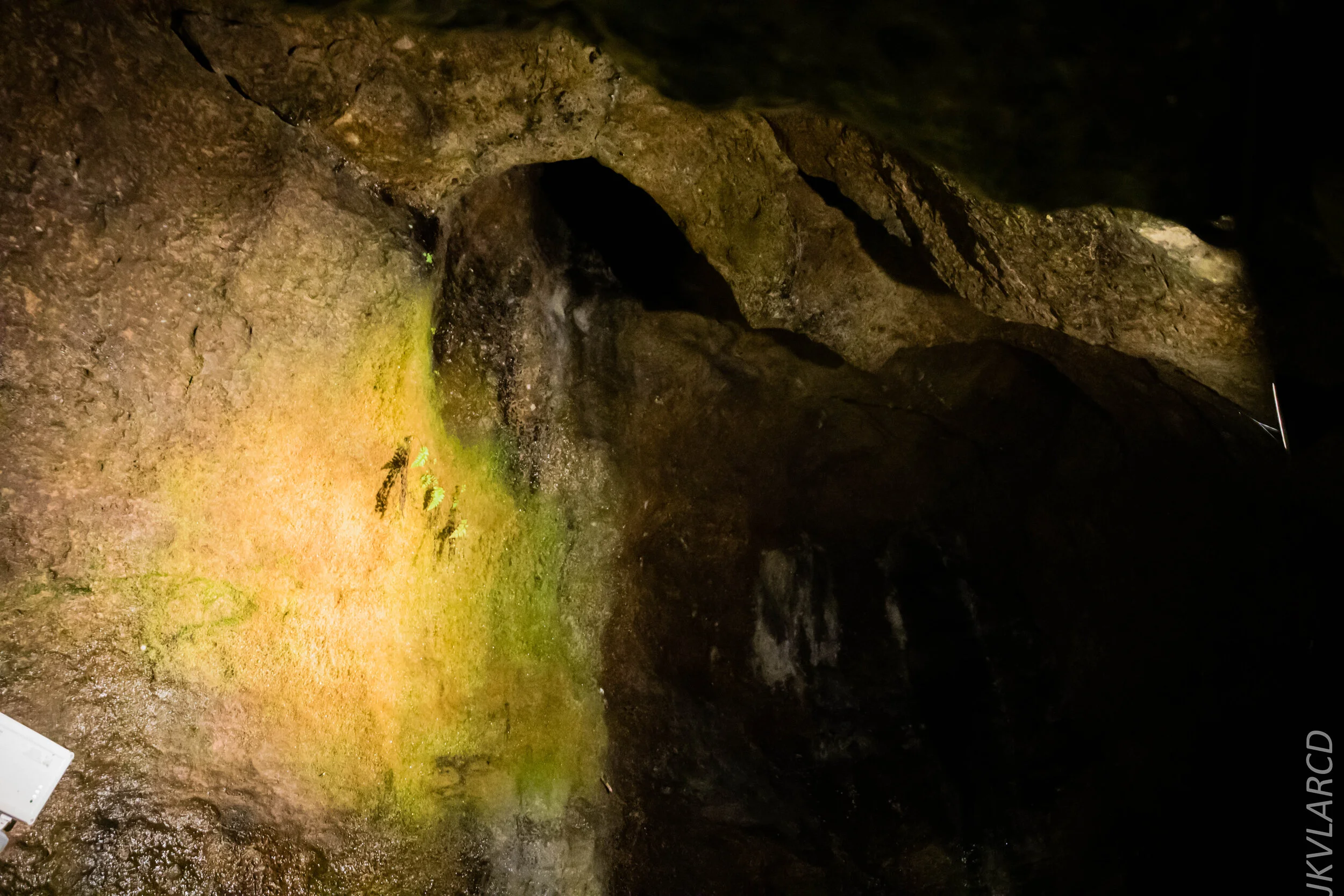 EOS 7D Mark II_2019_11_07_7647.jpg