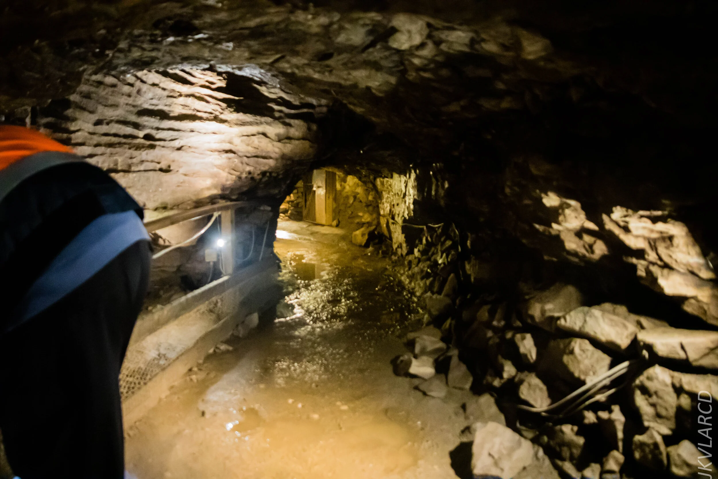 EOS 7D Mark II_2019_11_07_7650.jpg