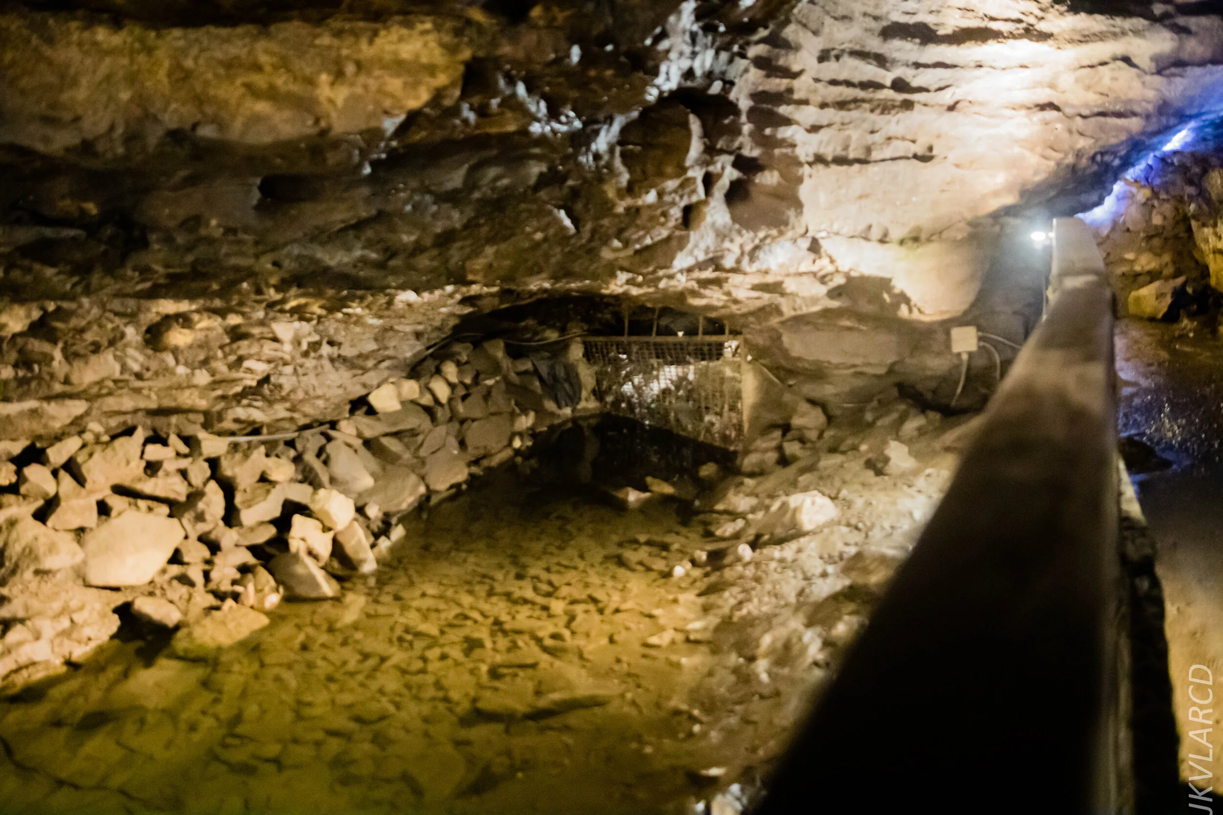 EOS 7D Mark II_2019_11_07_7651.jpg