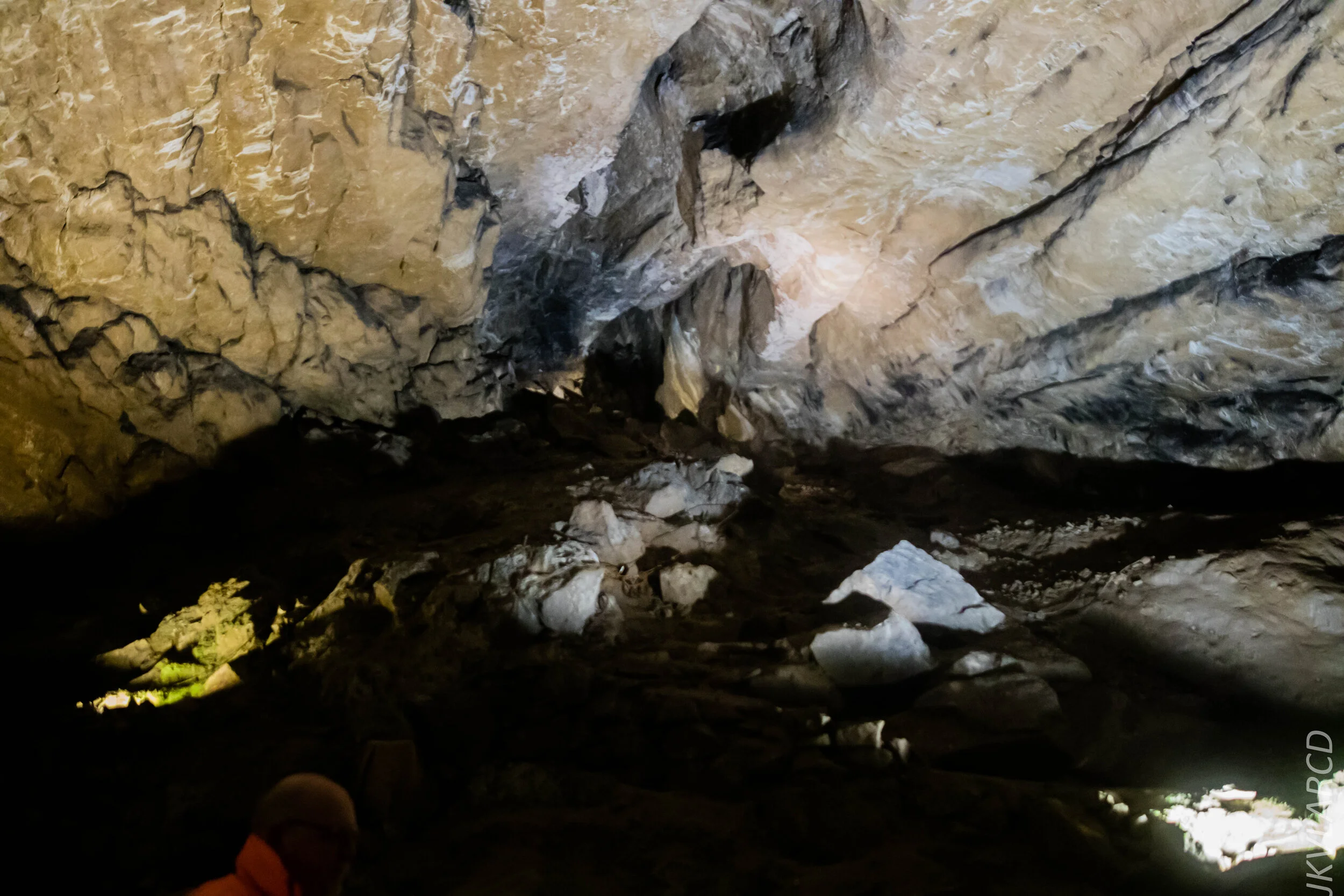 EOS 7D Mark II_2019_11_07_7652.jpg