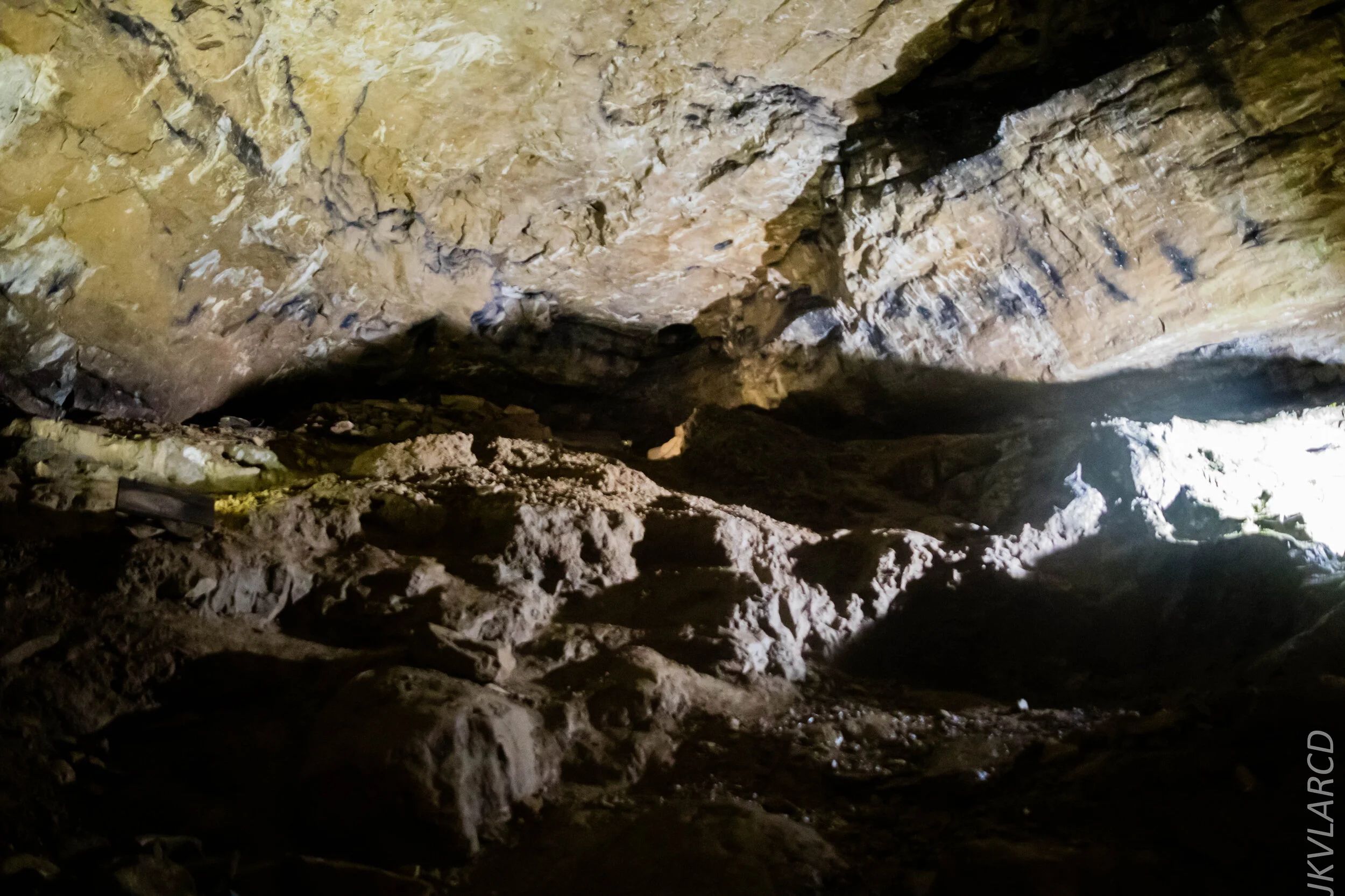 EOS 7D Mark II_2019_11_07_7653.jpg