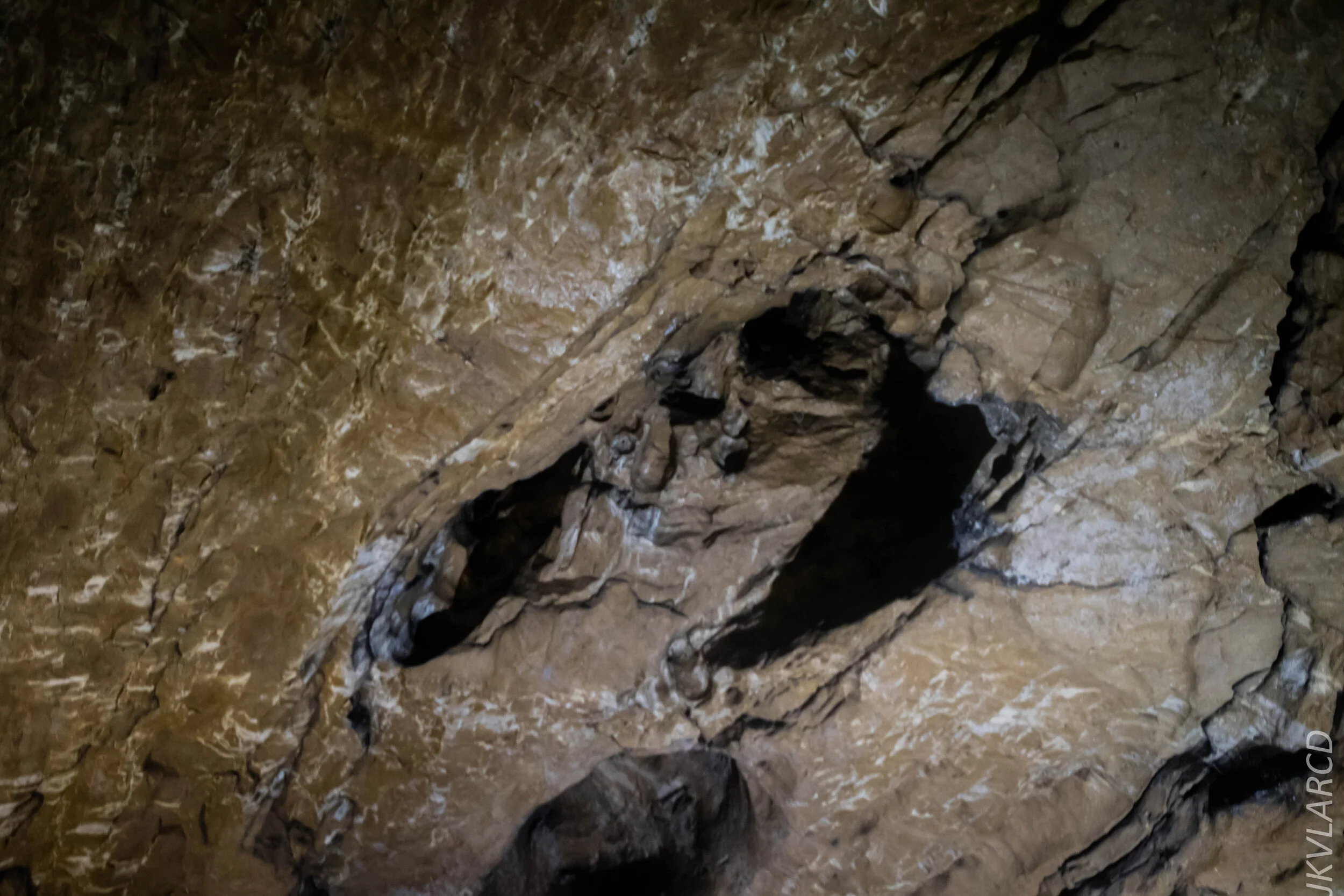 EOS 7D Mark II_2019_11_07_7655.jpg