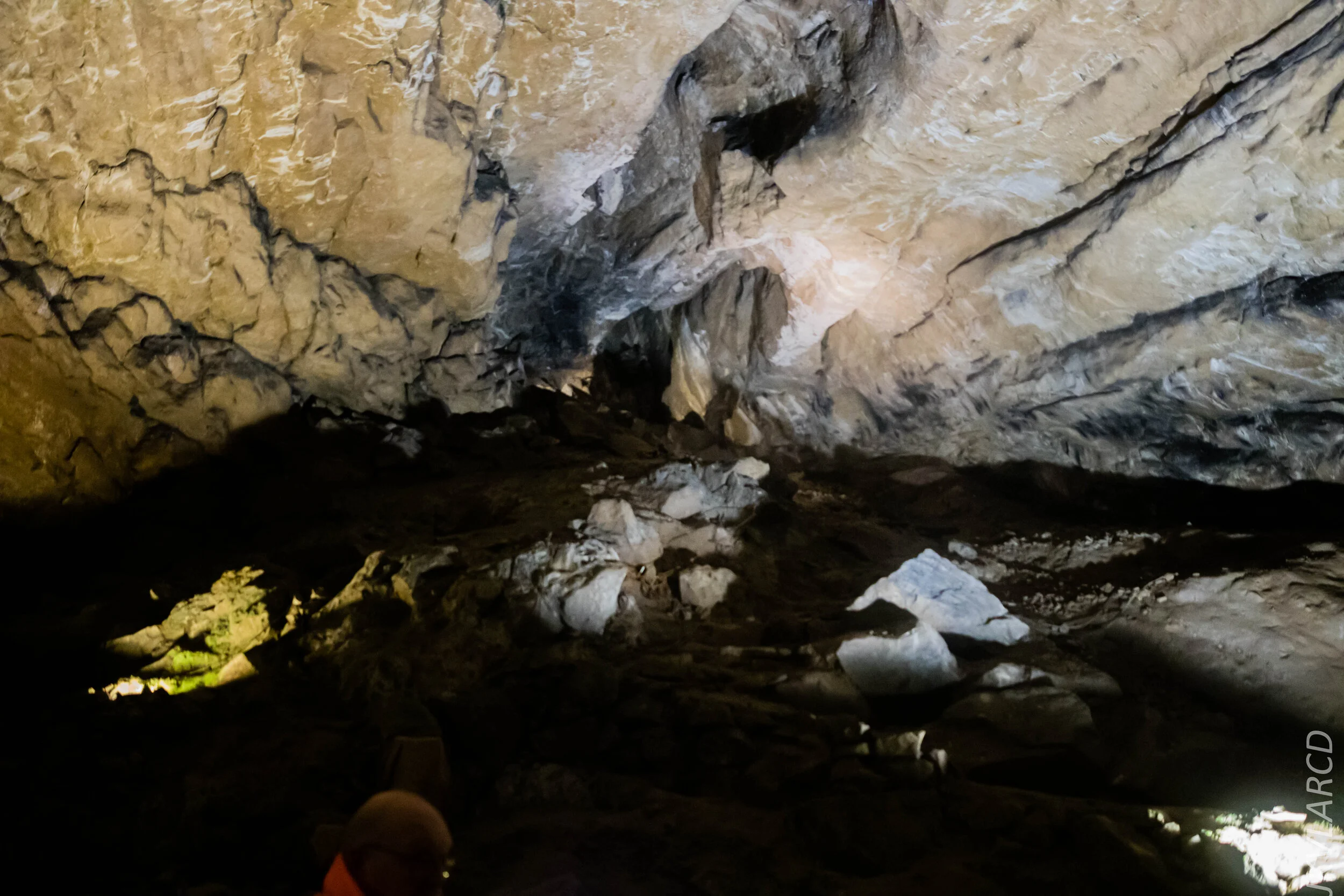 EOS 7D Mark II_2019_11_07_7656.jpg