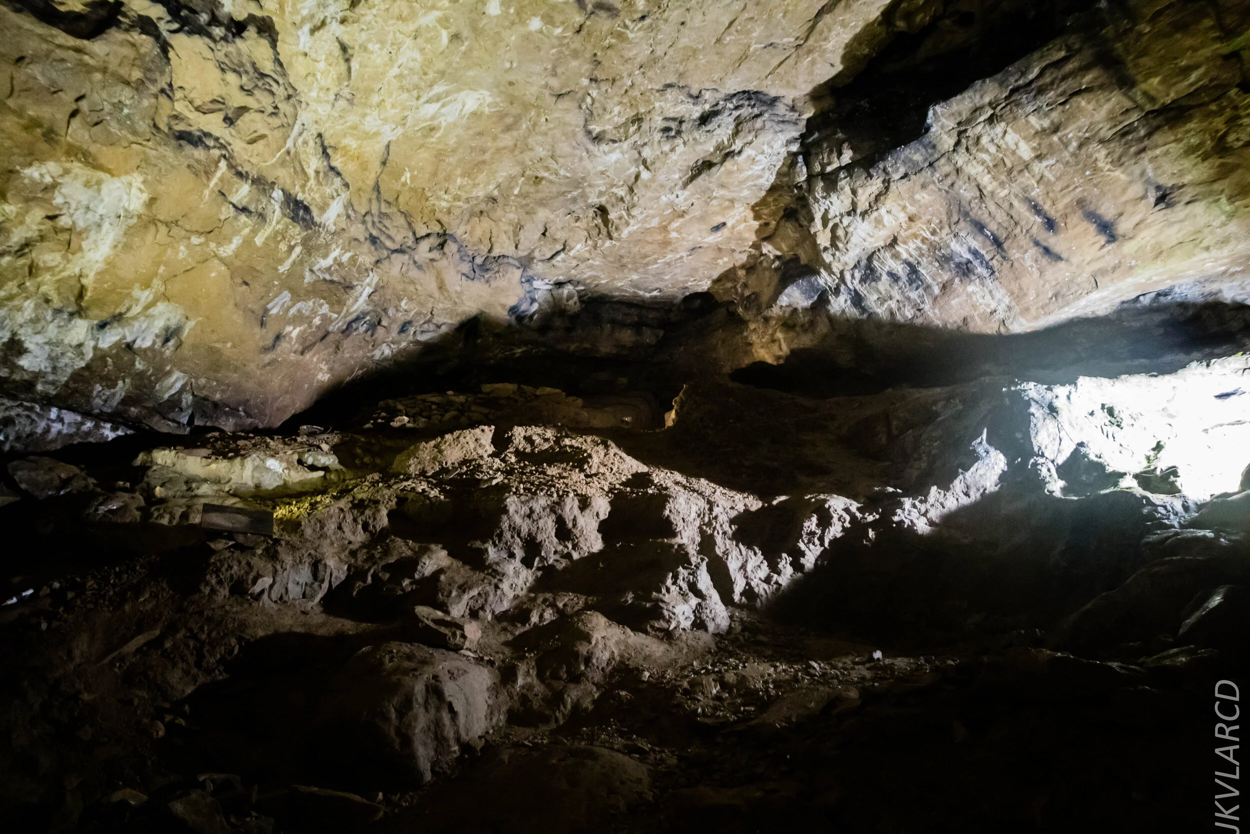 EOS 7D Mark II_2019_11_07_7657.jpg