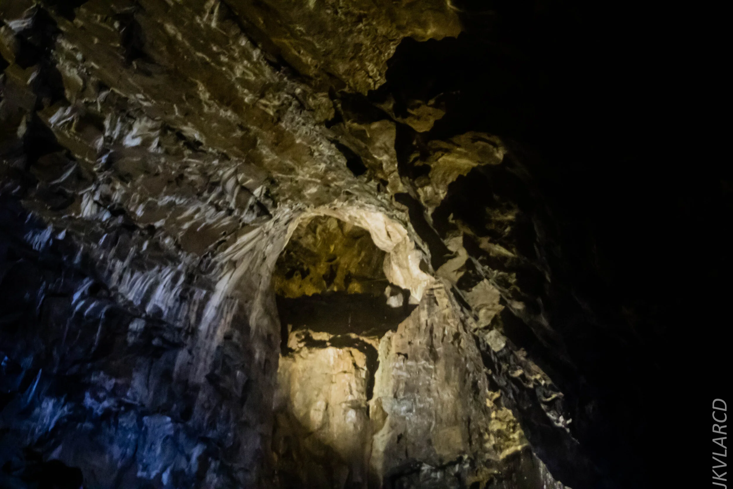 EOS 7D Mark II_2019_11_07_7659.jpg