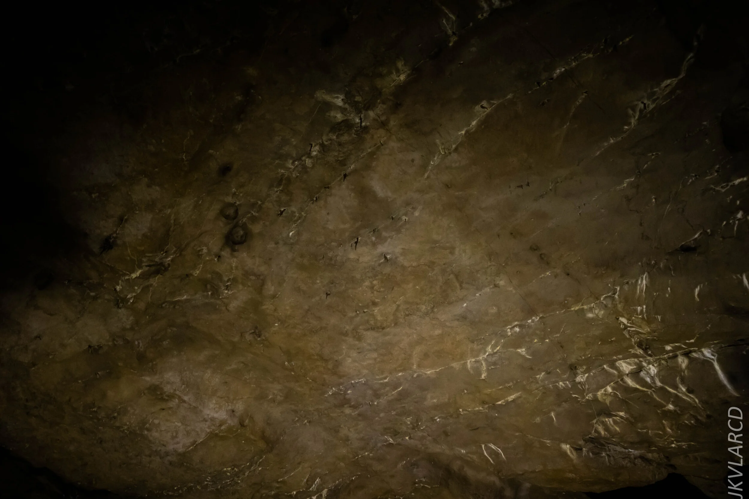 EOS 7D Mark II_2019_11_07_7663.jpg