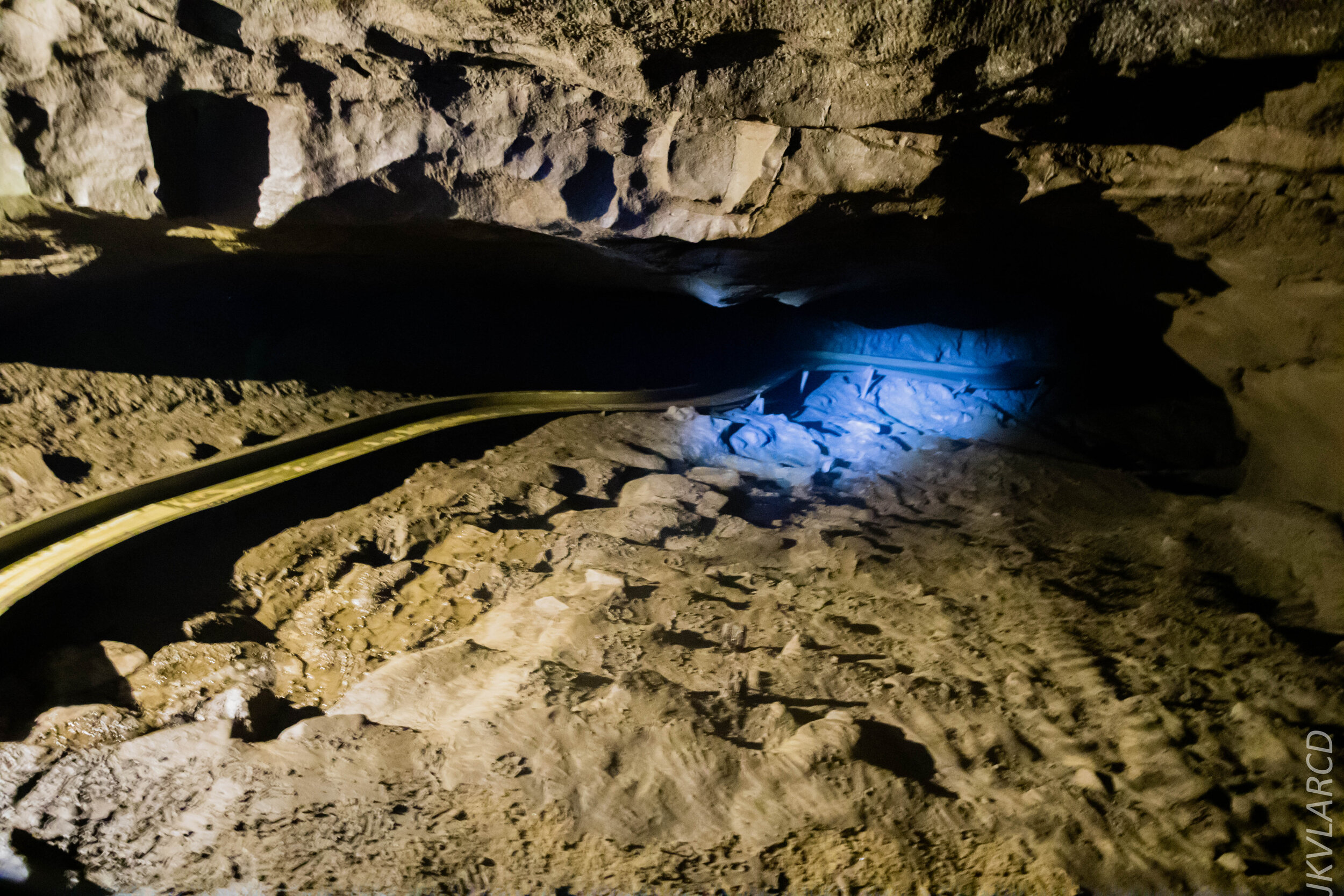 EOS 7D Mark II_2019_11_07_7667.jpg