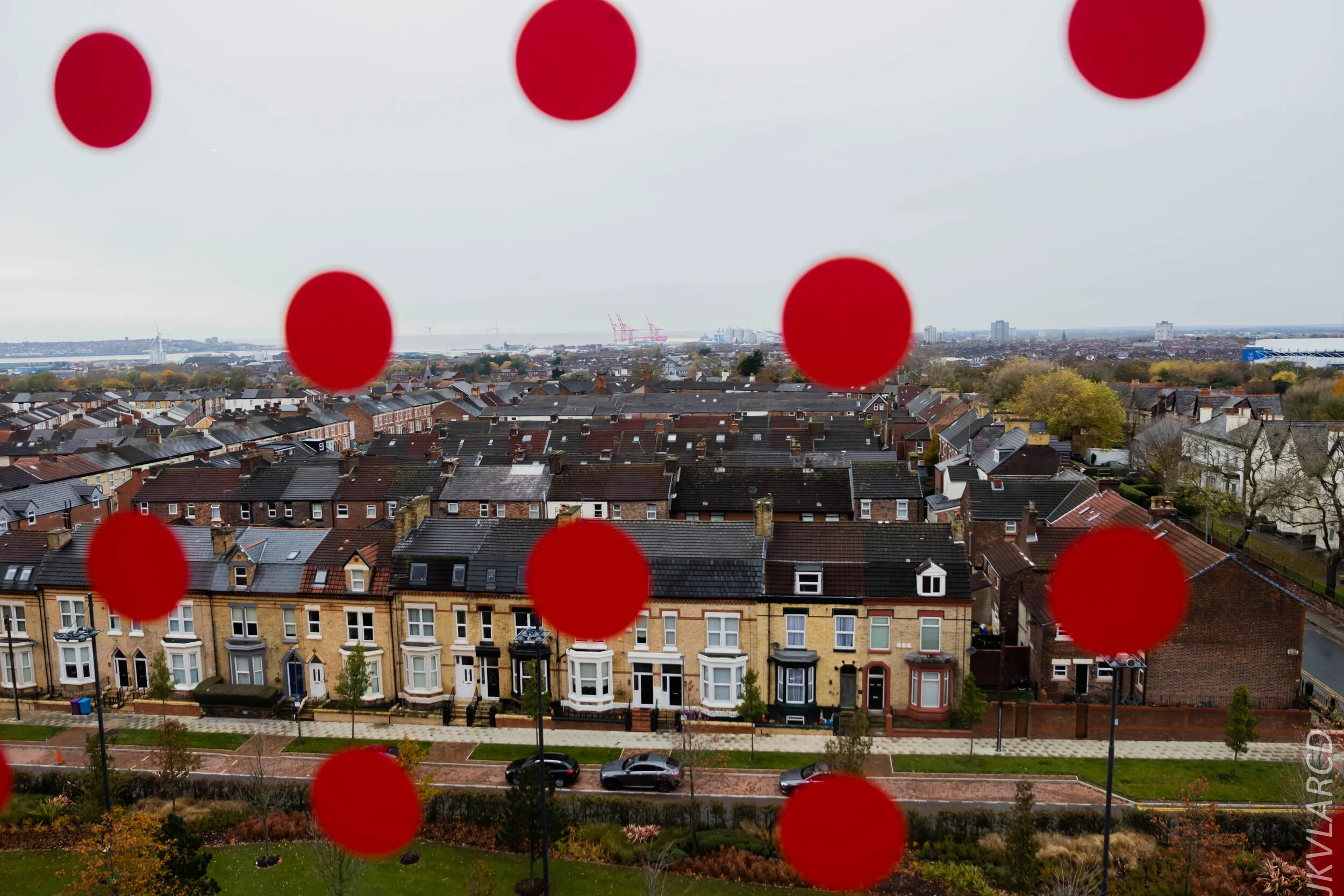 EOS 7D Mark II_2019_11_09_7700.jpg