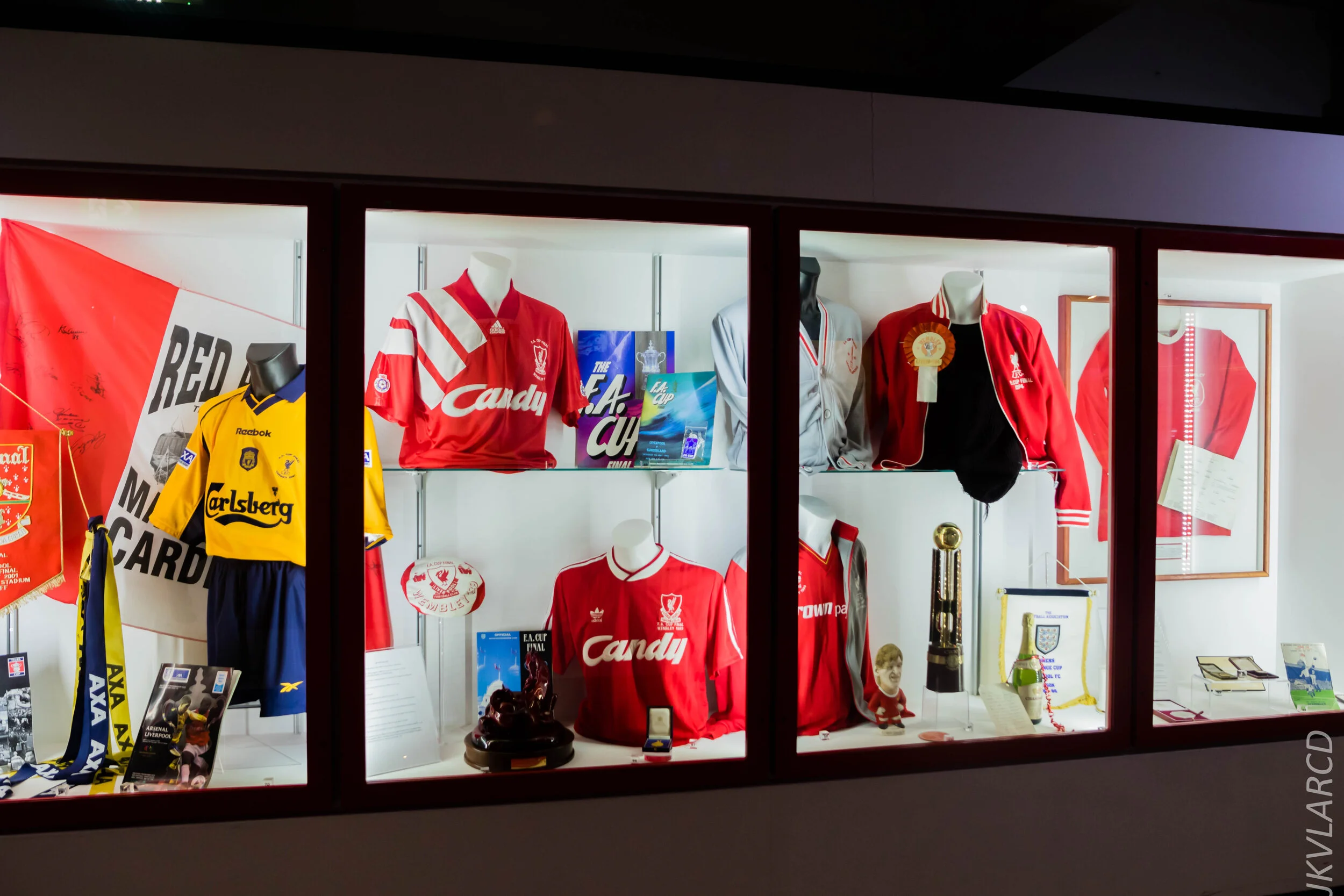 EOS 7D Mark II_2019_11_09_7728.jpg