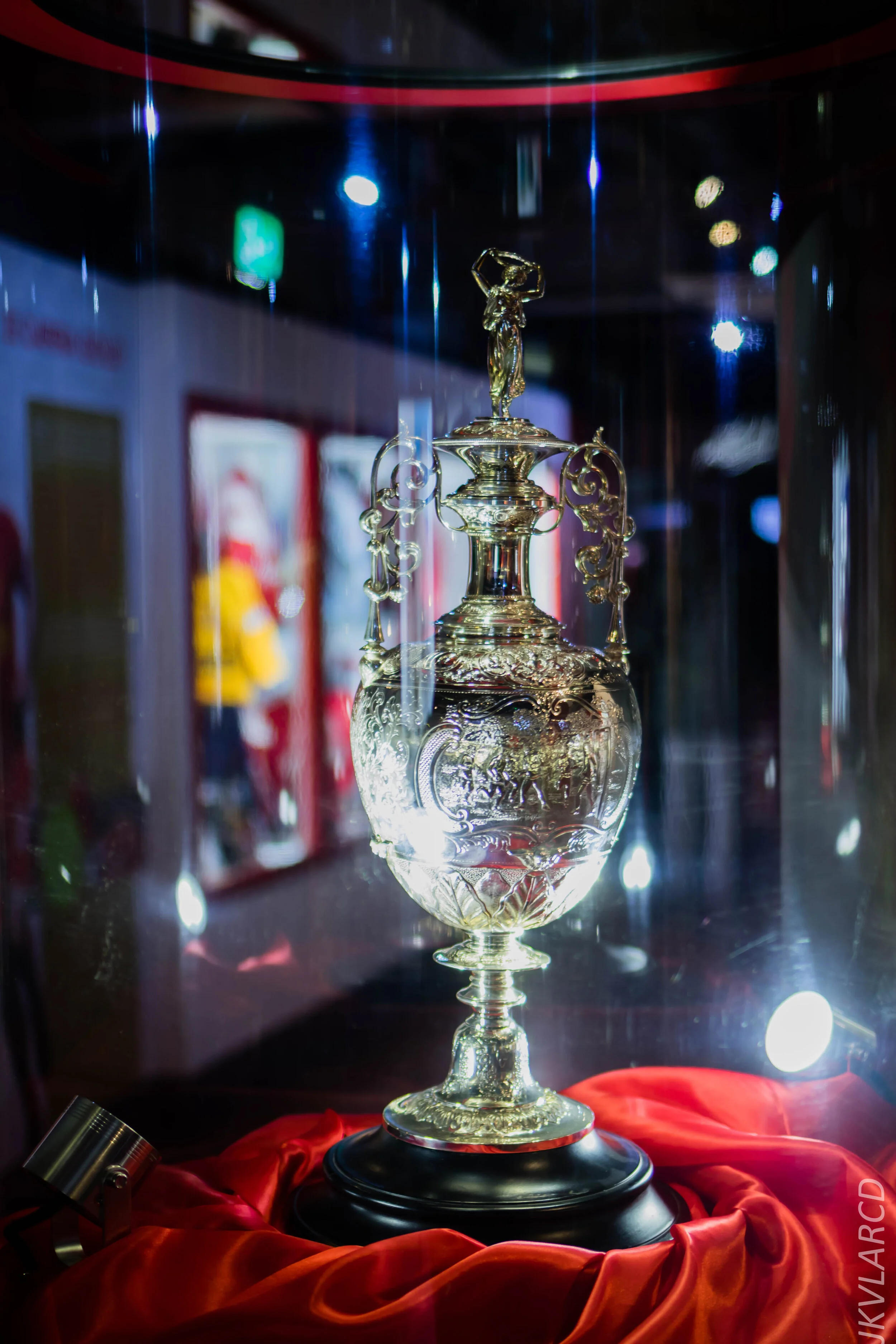 EOS 7D Mark II_2019_11_09_7735.jpg