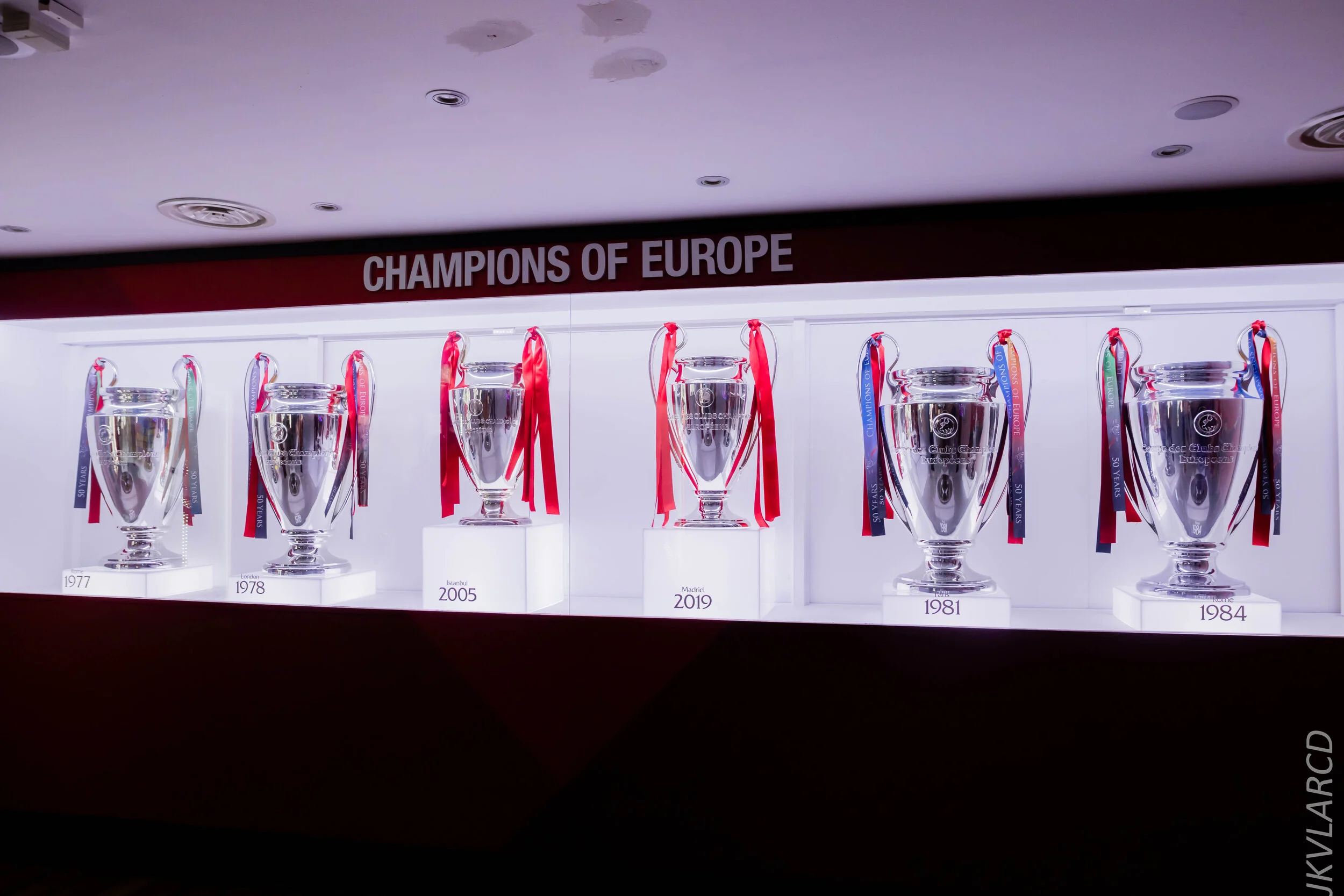 EOS 7D Mark II_2019_11_09_7743.jpg